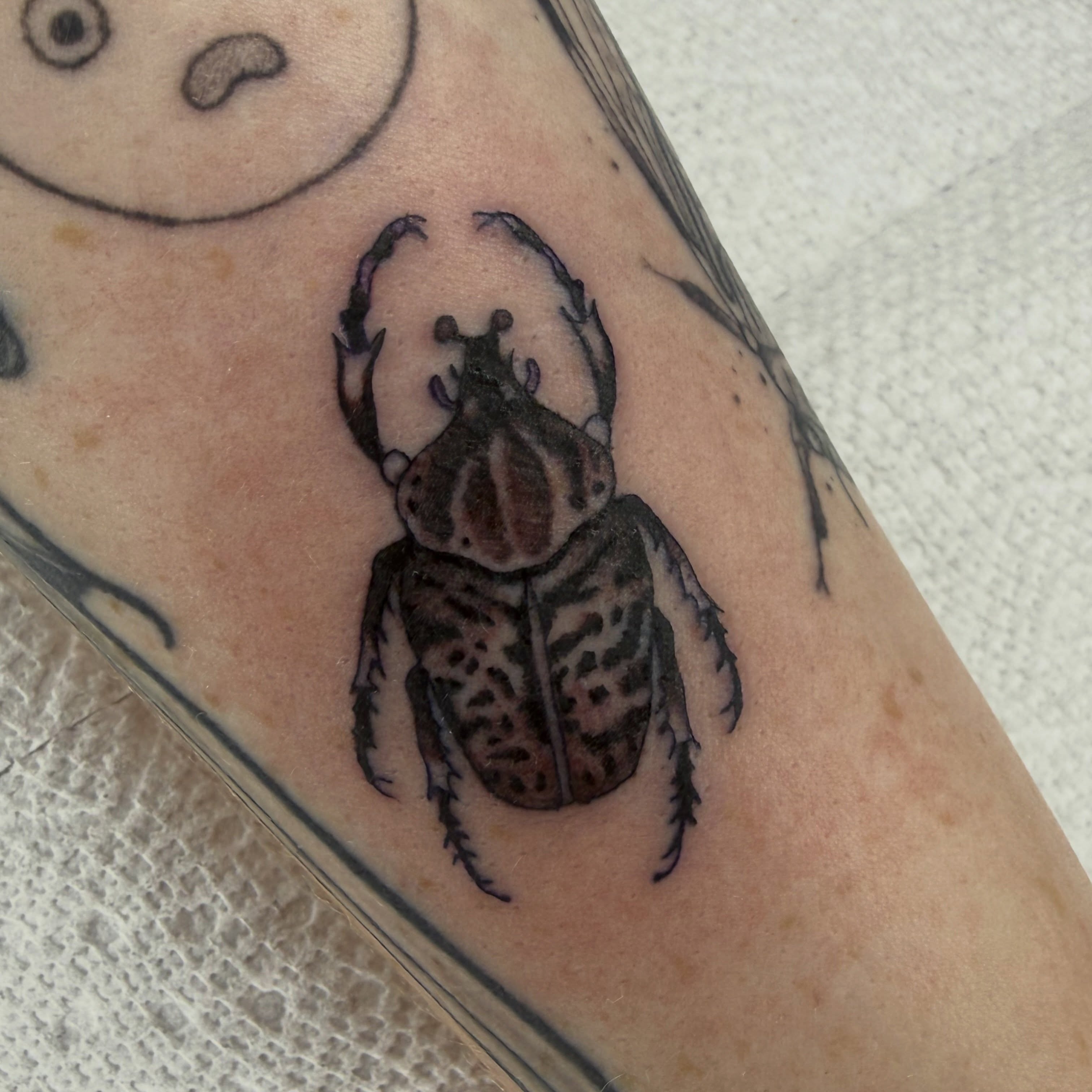 Scarab beetle realism tattoo on the forearm by @chrisskon, Carpentersville, Illinois