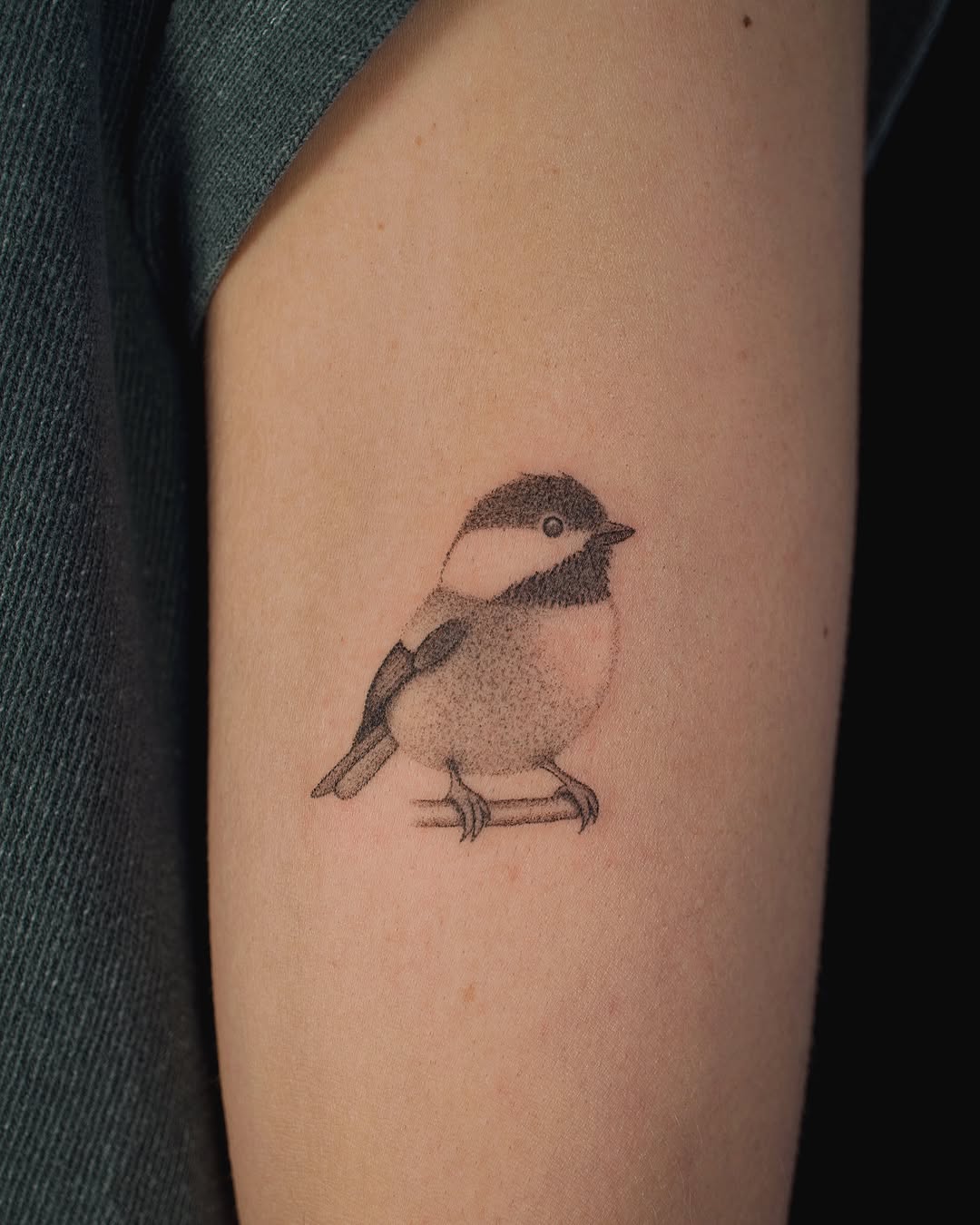 Tattoo by @elsietattoo — dotwork, black_and_grey