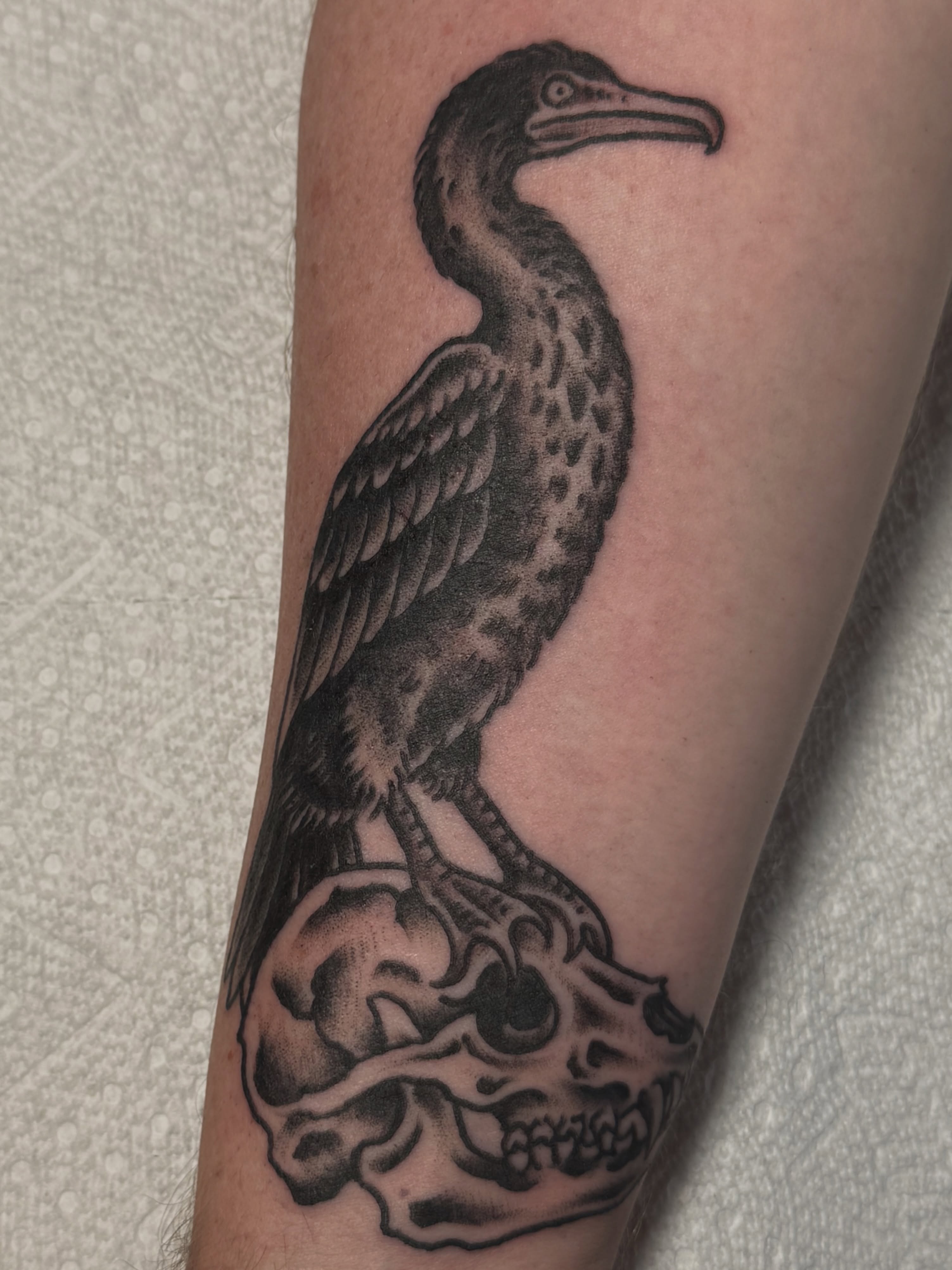Bird on skull black and grey tattoo on the forearm by Jesse Swanson, Santa Rosa, California