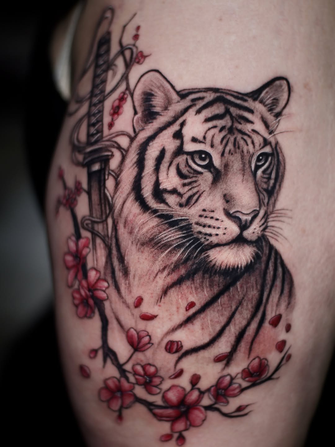 Tiger and katana with cherry blossoms realism tattoo on the thigh by 𝐒𝐡𝐞𝐫𝐥𝐥𝐲