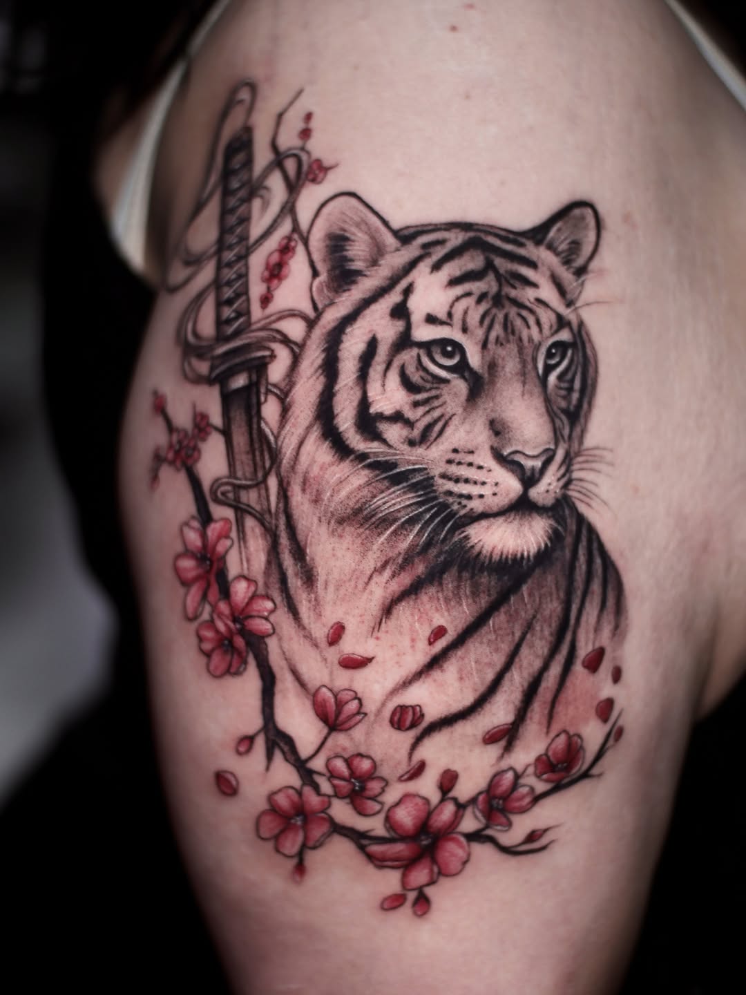 Tiger and katana with cherry blossoms realism tattoo on the shoulder by 𝐒𝐡𝐞𝐫𝐥𝐥𝐲
