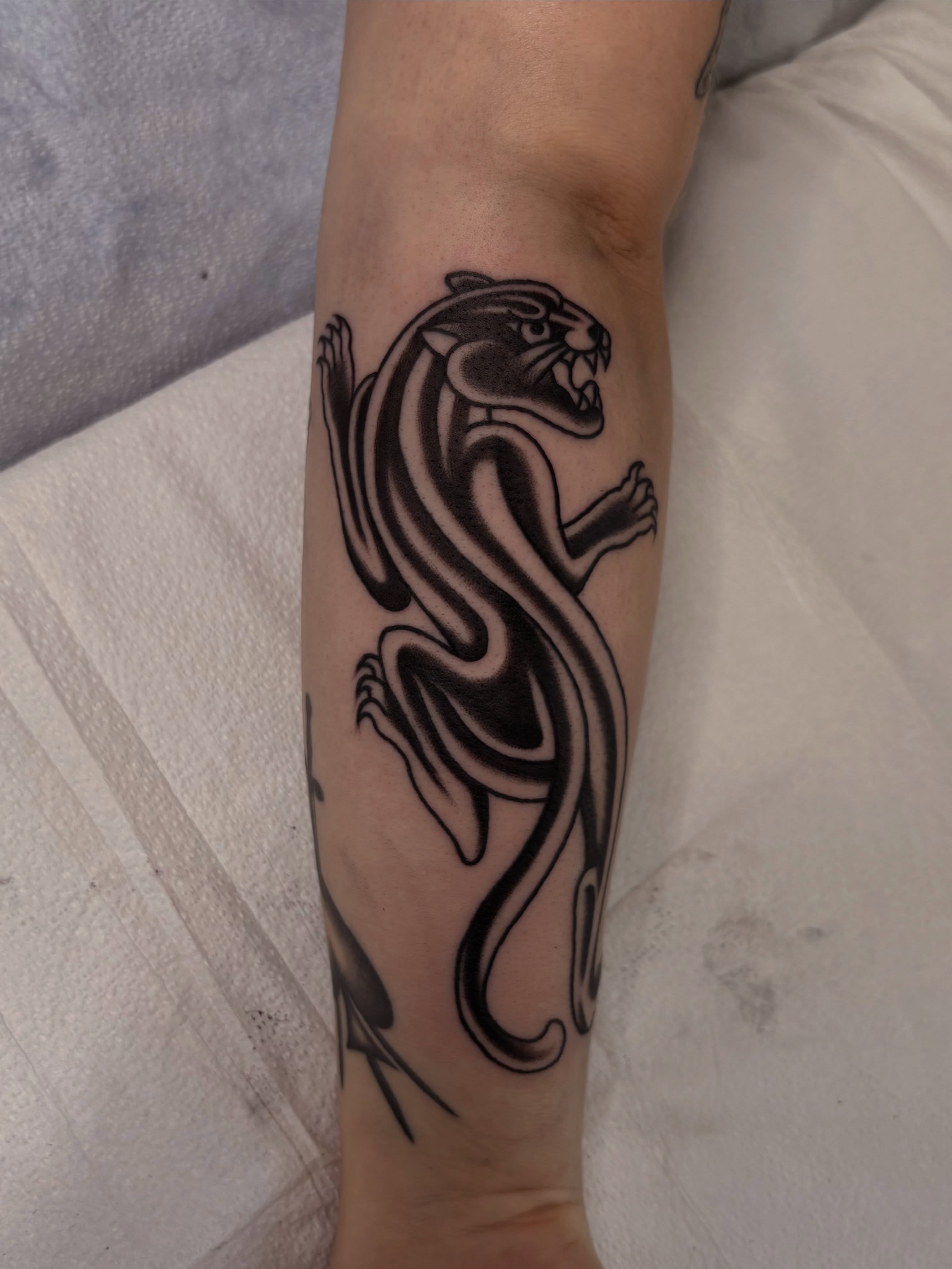 Panther black and grey tattoo on the forearm by Lily, Eugene, Oregon
