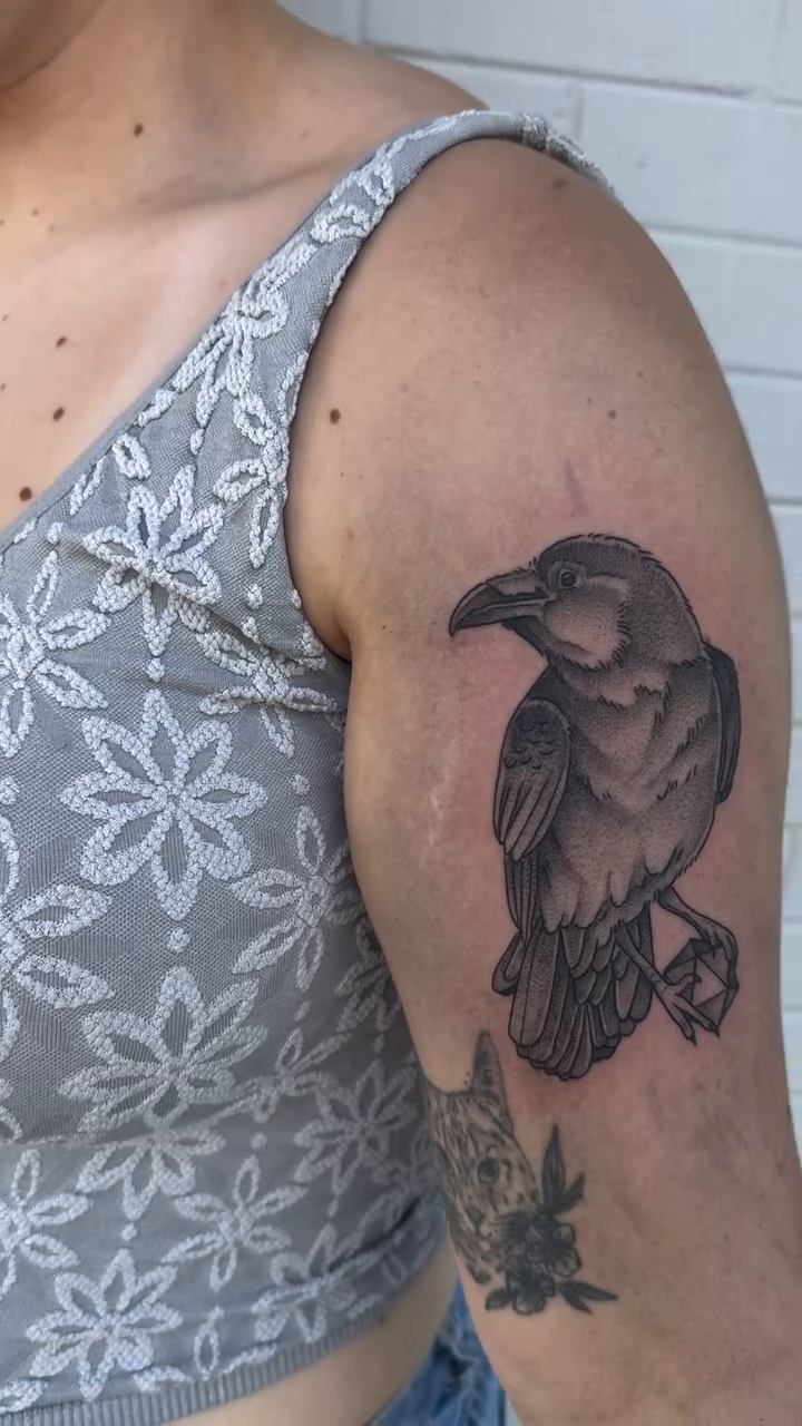 Raven on arm realism tattoo by Audrey Kacel, Holland, Michigan