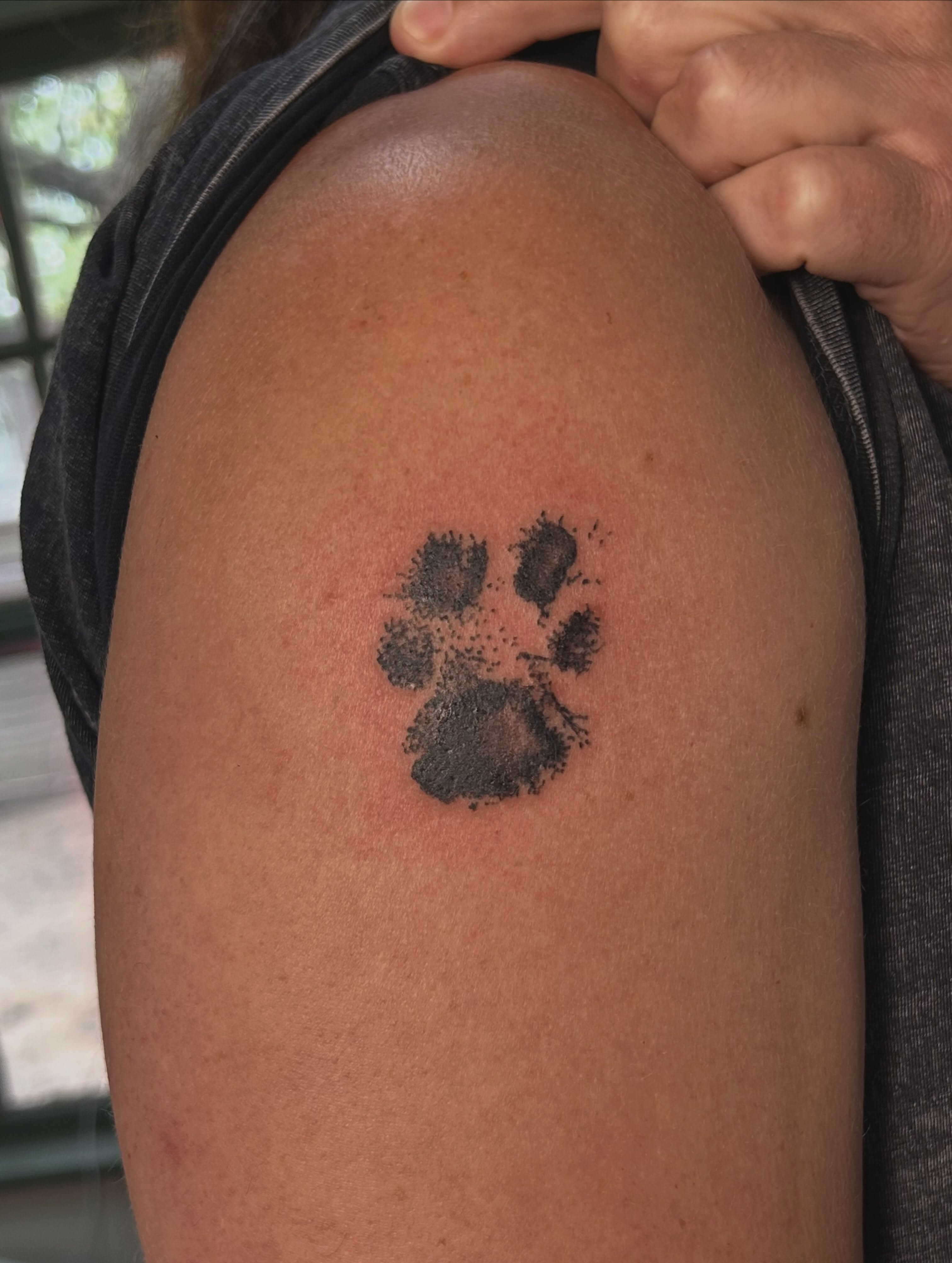 Paw print dotwork tattoo on the shoulder by Miss Katie