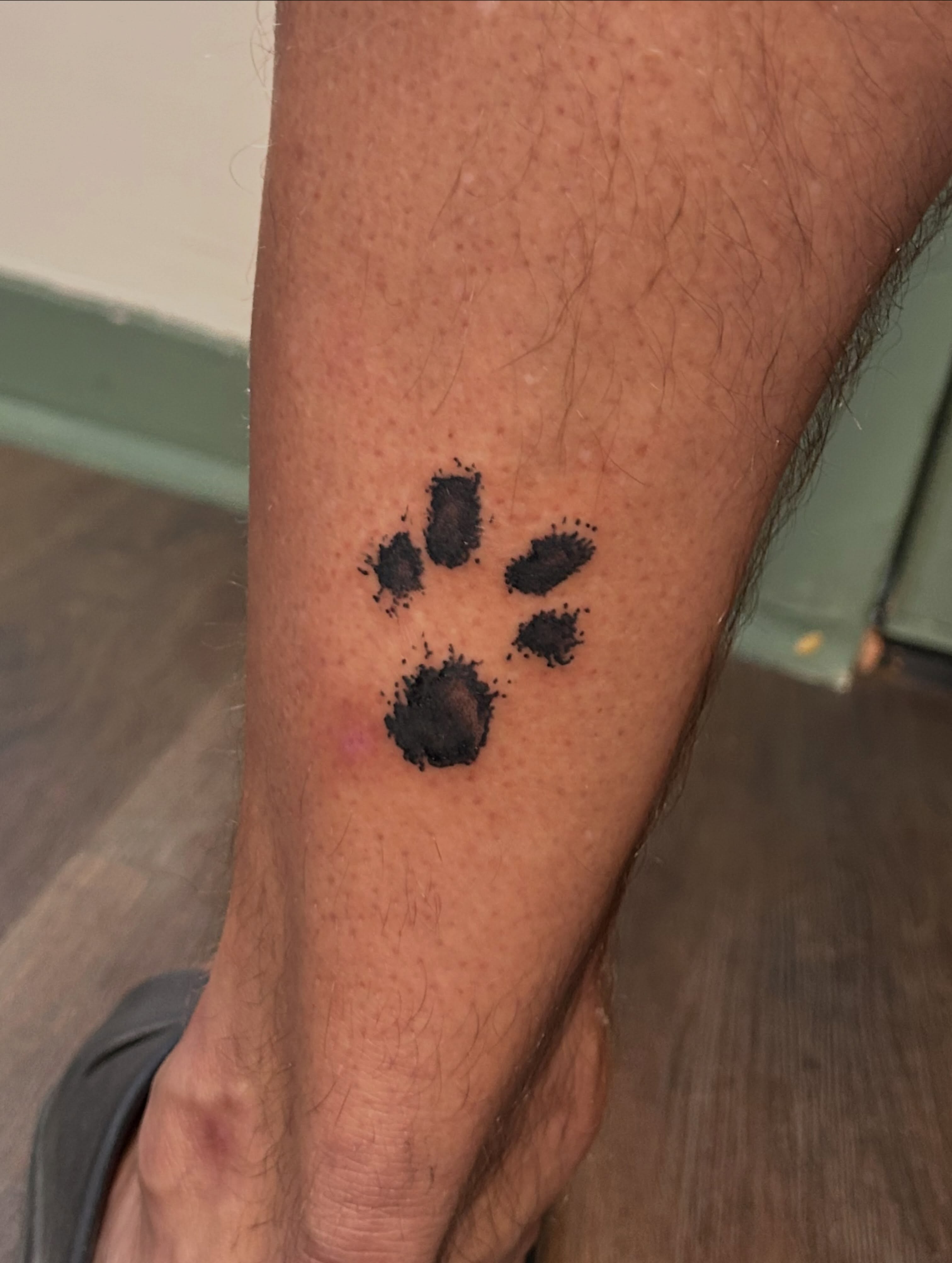 Paw print dotwork tattoo on the forearm by Miss Katie