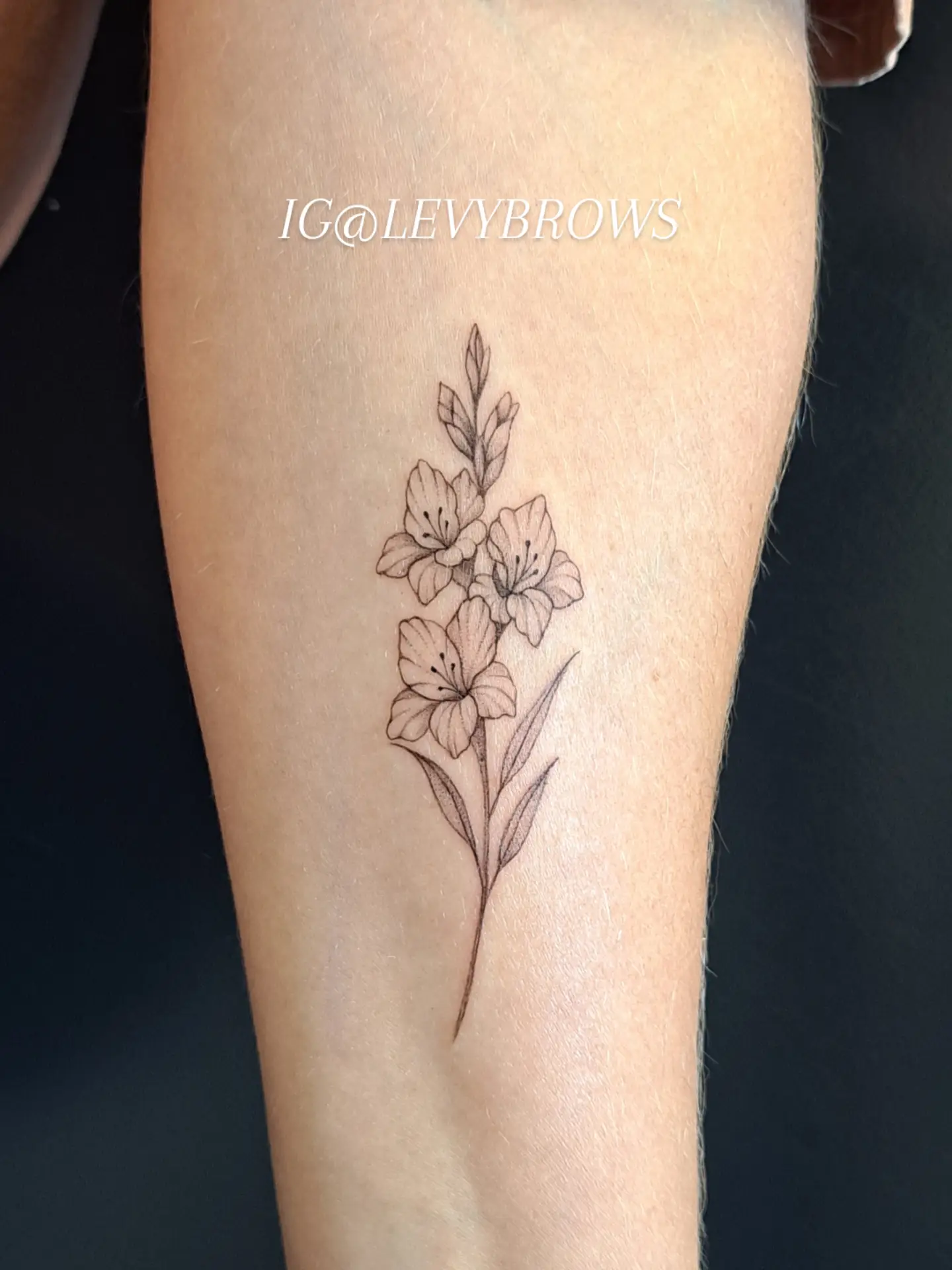 Tattoo by @levybrows — fine_line