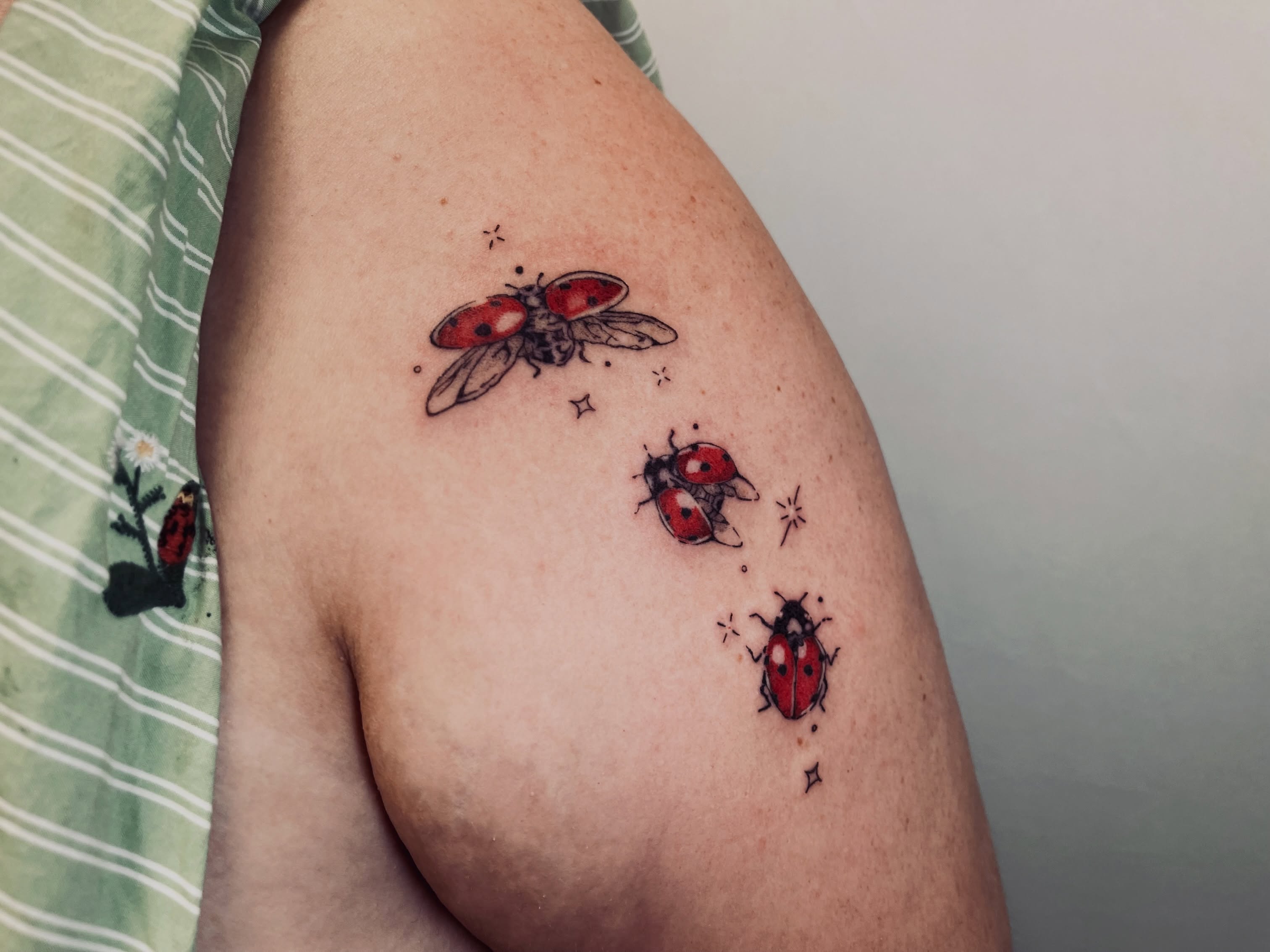 Ladybugs dotwork tattoo on the thigh by vivian