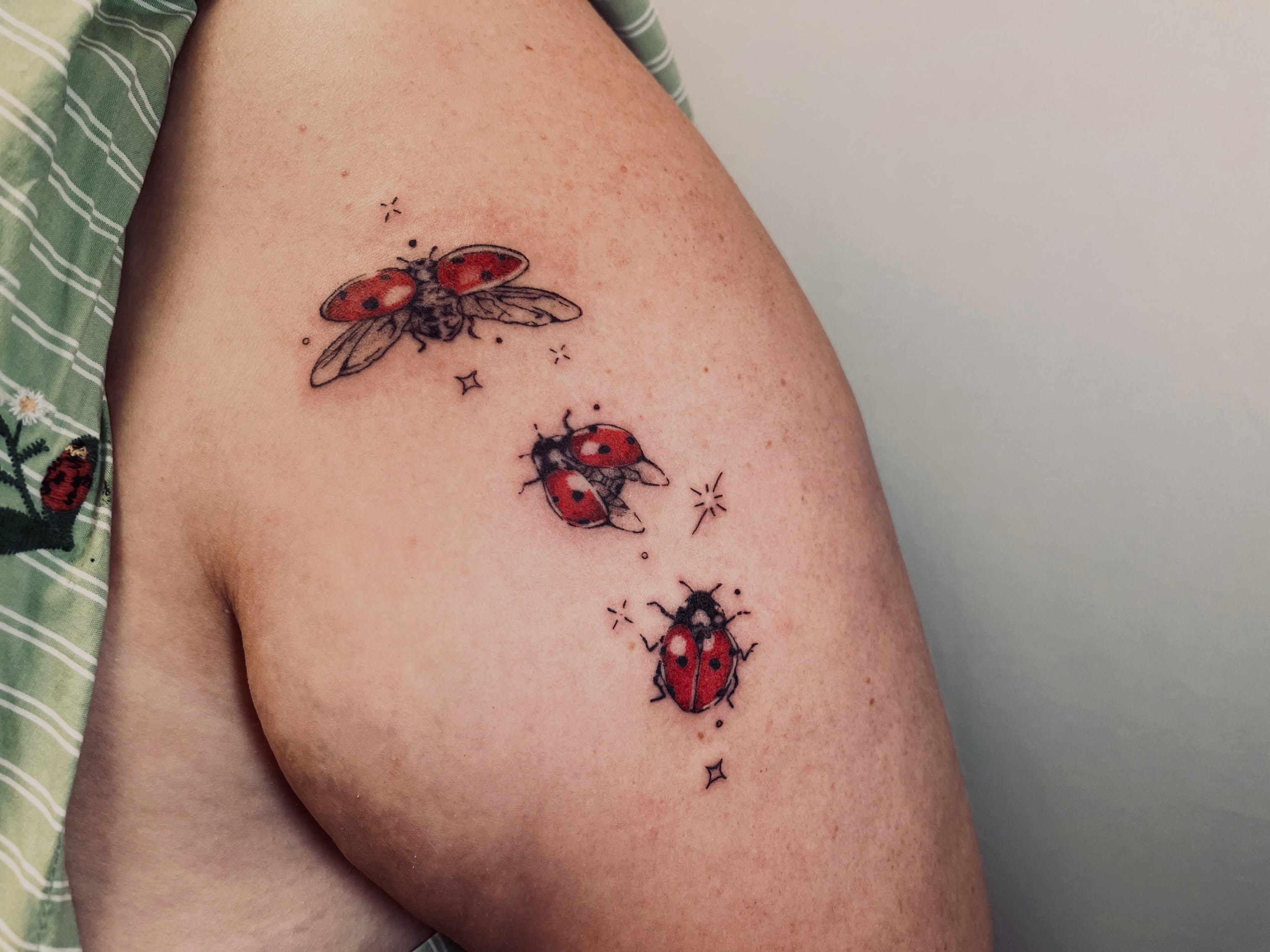 Ladybugs dotwork tattoo on the shoulder by vivian