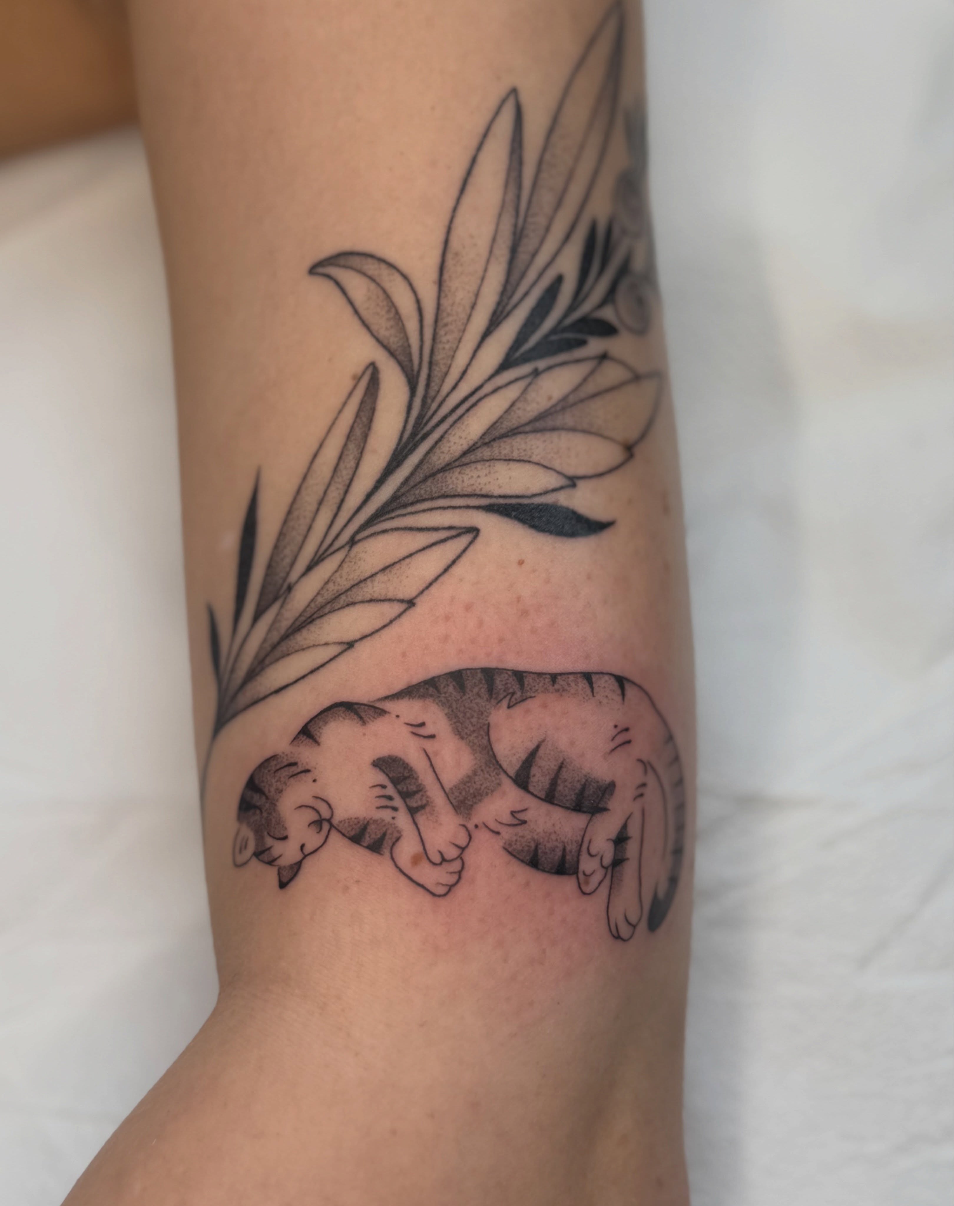 Sleeping cat with leaves dotwork tattoo on the forearm by Kailey Ru, Knoxville, Tennessee