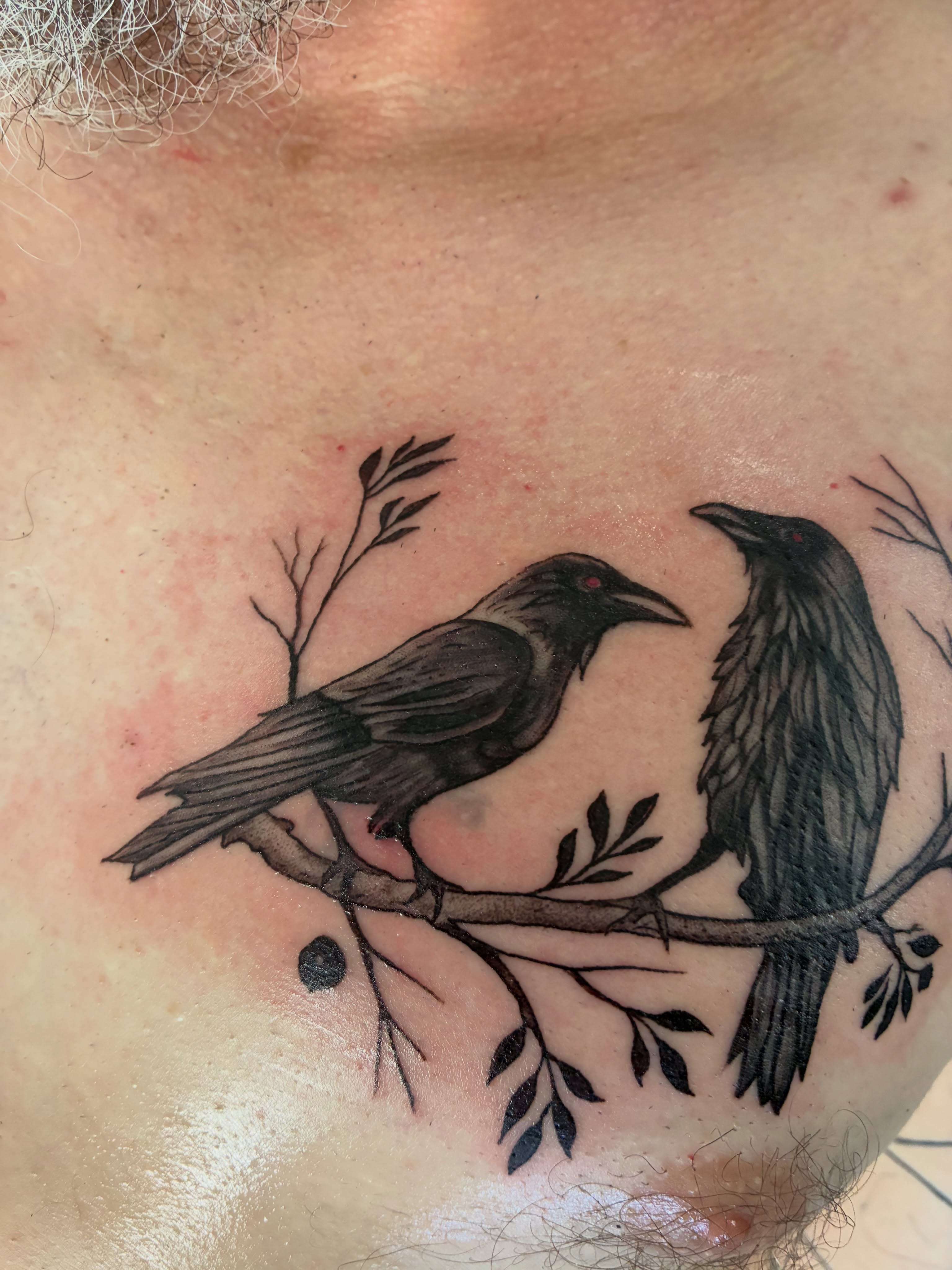 Crows black and grey tattoo on the chest by James Ostler