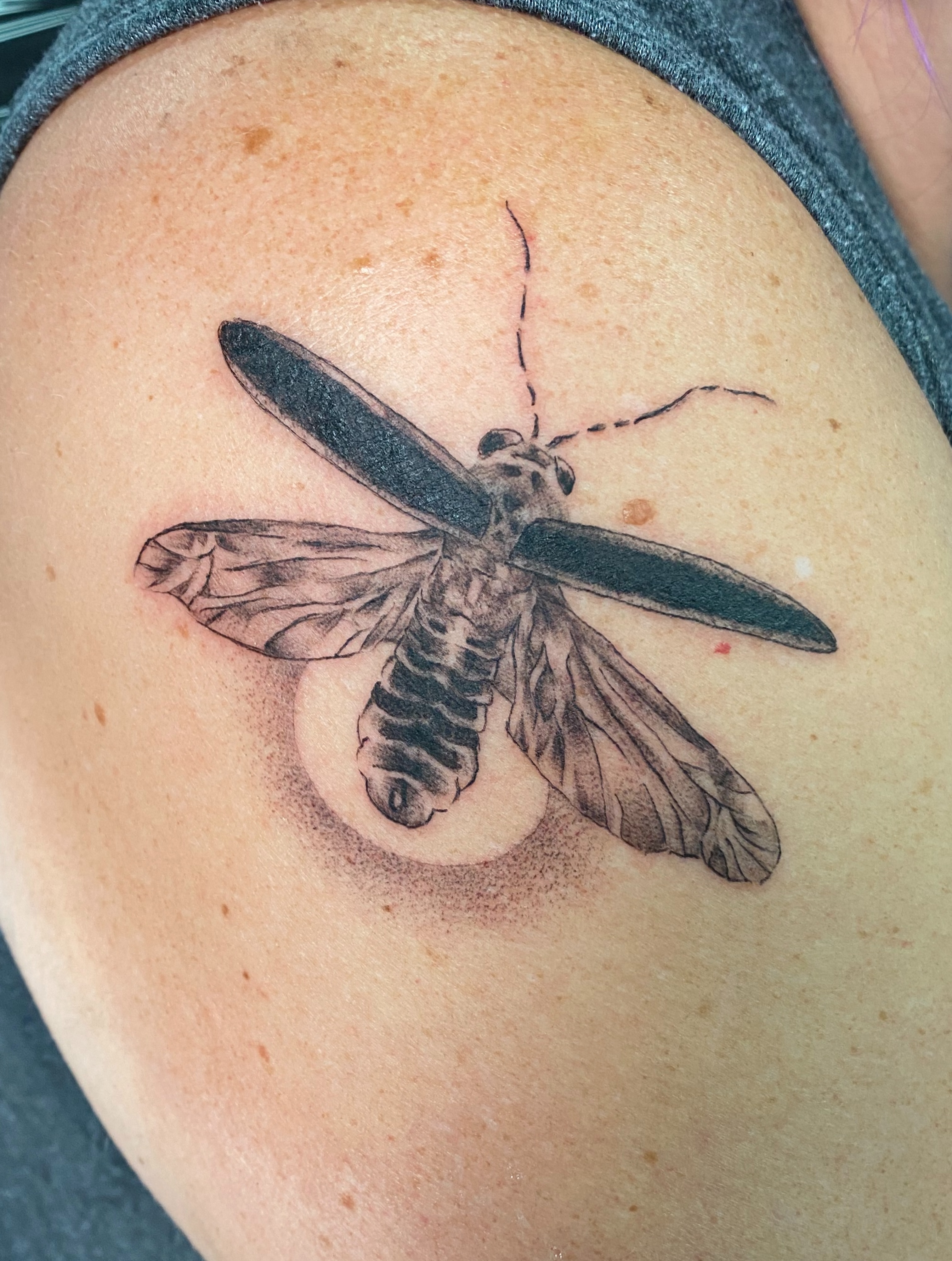 Moth black and grey tattoo on the shoulder by Mack ๐ Utah Tattoos