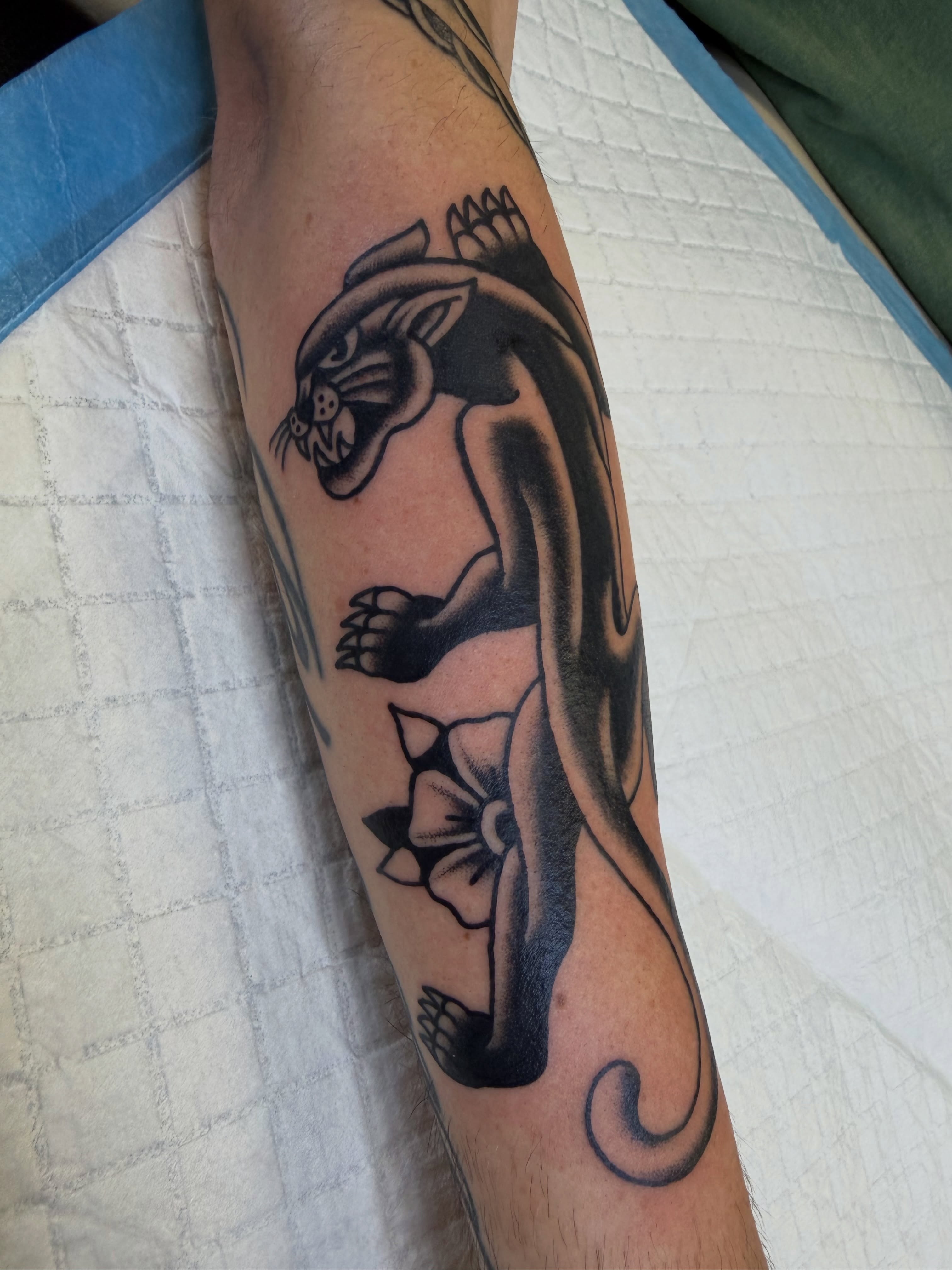 Panther American traditional tattoo on the forearm by Nick Tumminello