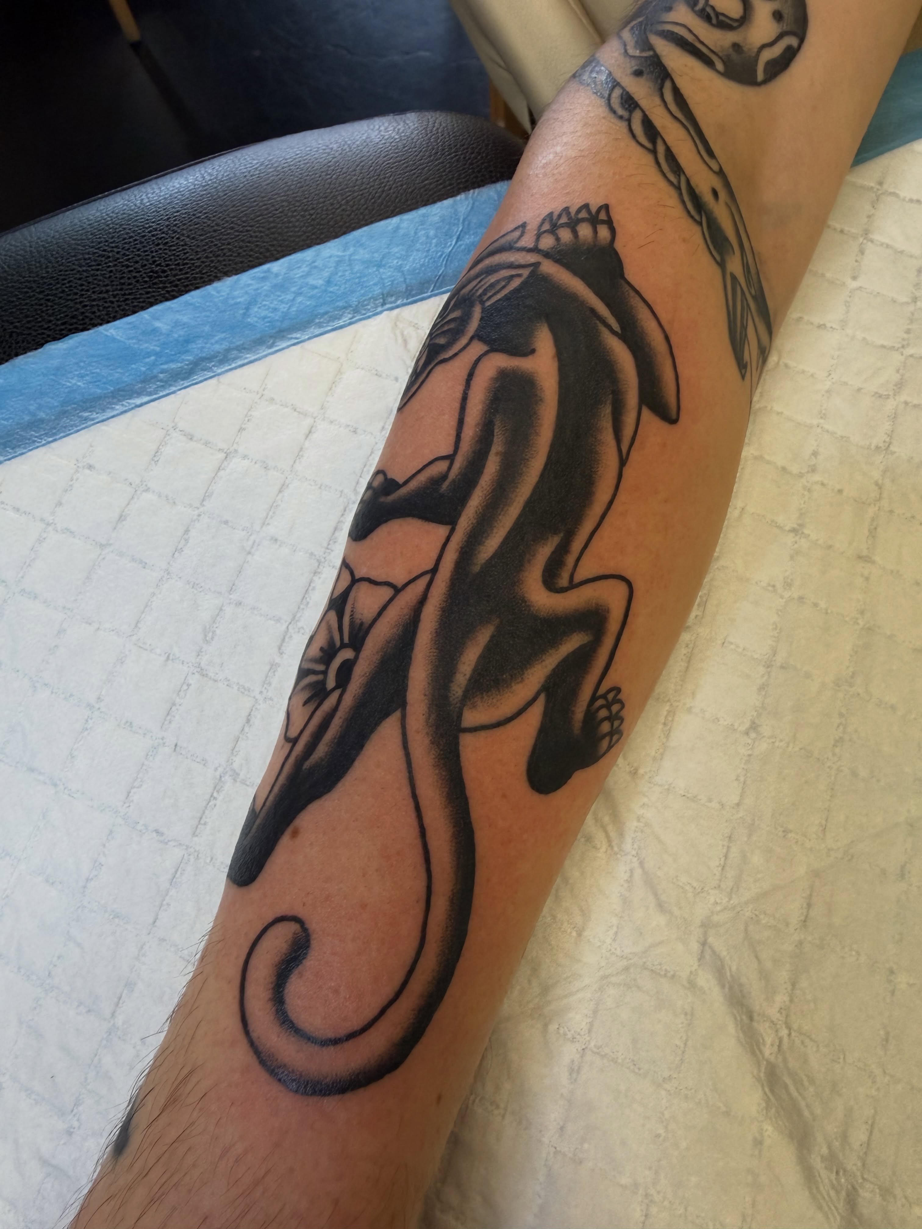 Dolphin and flower black and grey tattoo on the forearm by Nick Tumminello
