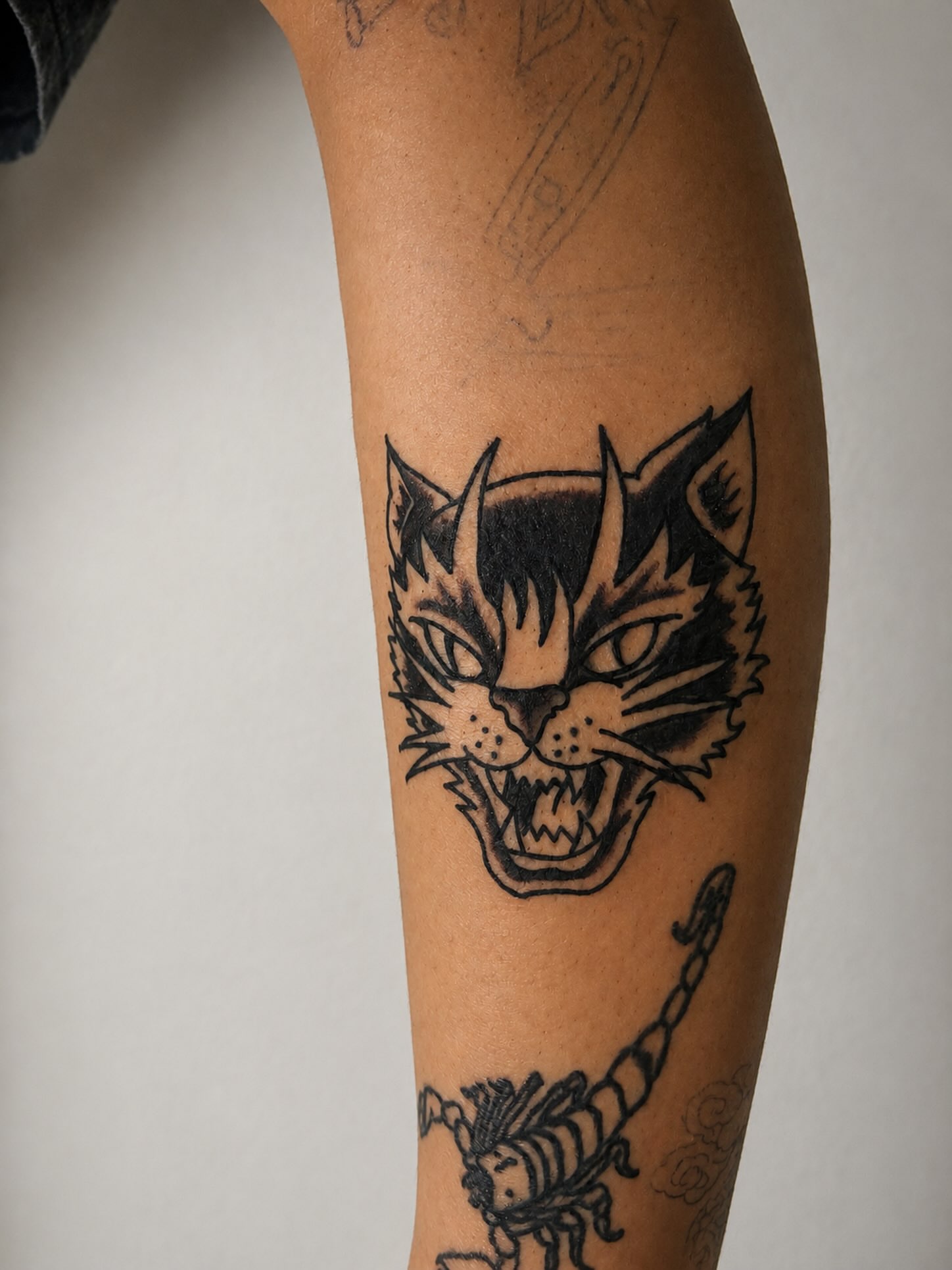 Cat American traditional tattoo on the forearm by sams tattoos