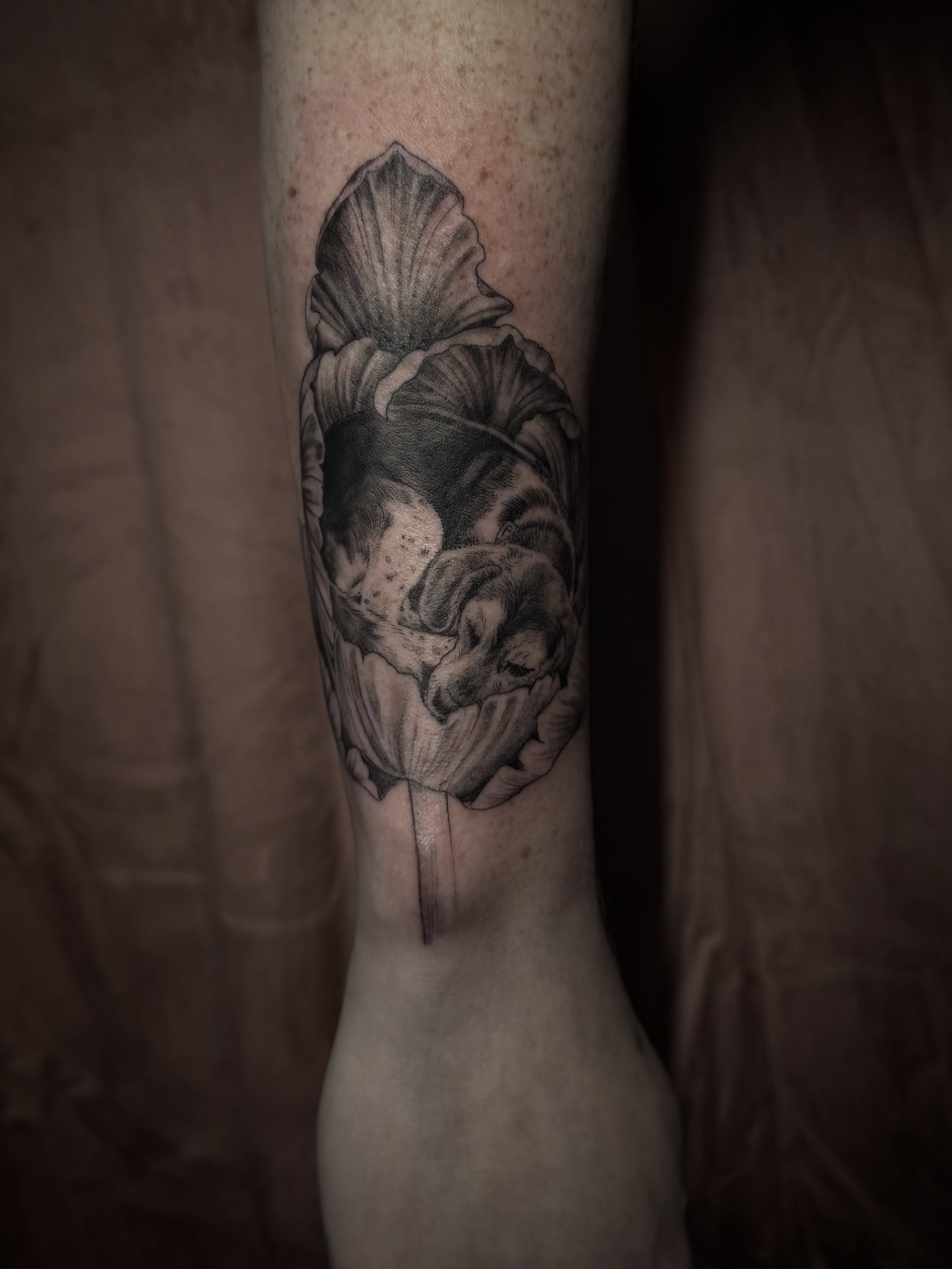 Tattoo by @bethanxvii — realism, black_and_grey