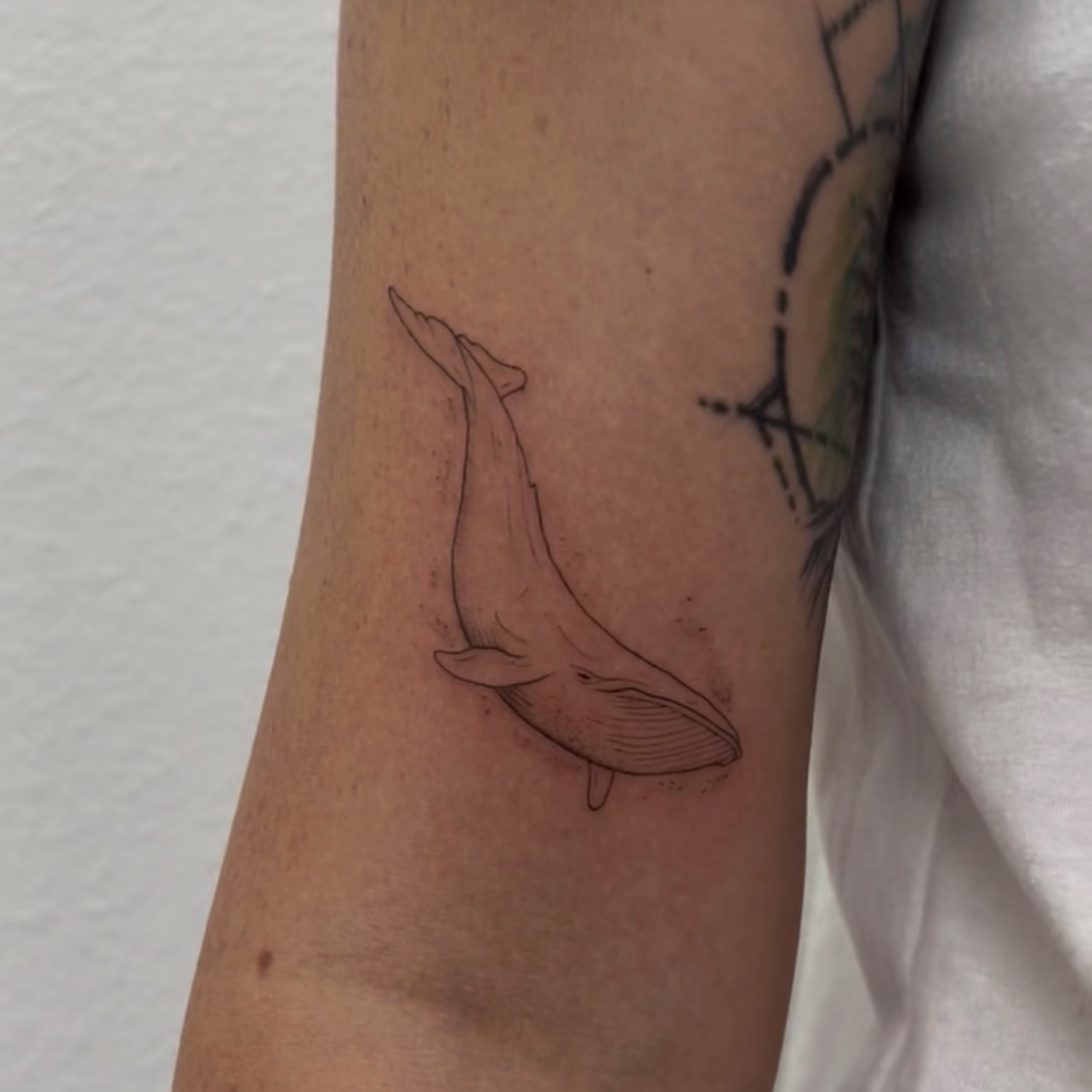 Whale black and grey tattoo on the forearm by Vanessa ♡ UTAH FINE LINE TATTOO + LIP BLUSH