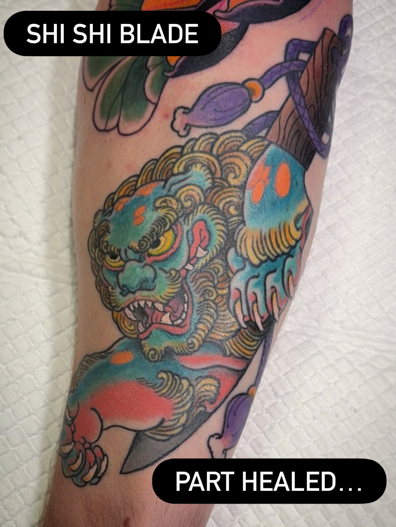 Lion American traditional tattoo on the forearm by James Bird, Vancouver, British Columbia