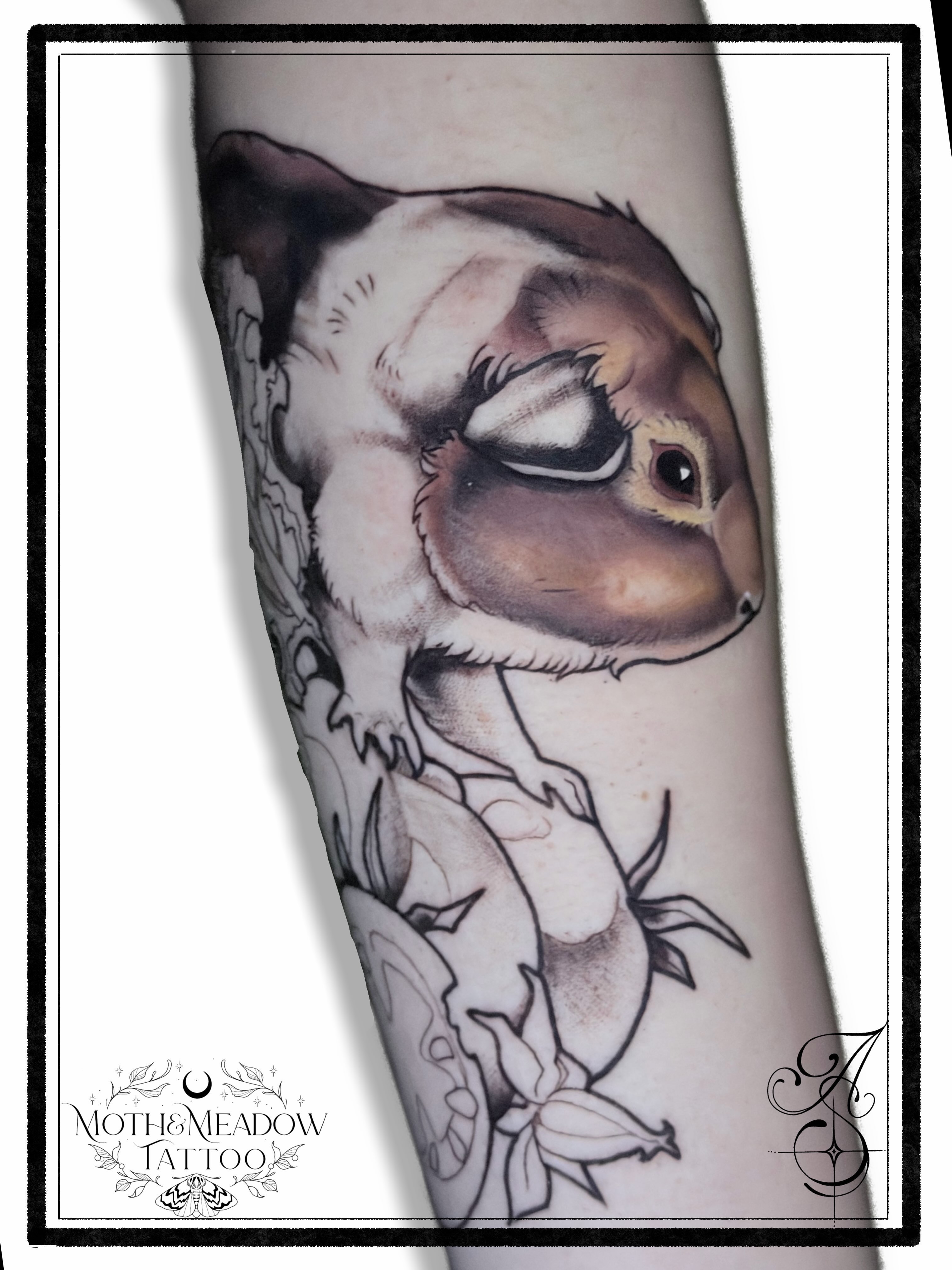 Chameleon realism tattoo on the forearm by Ash Sansoucie