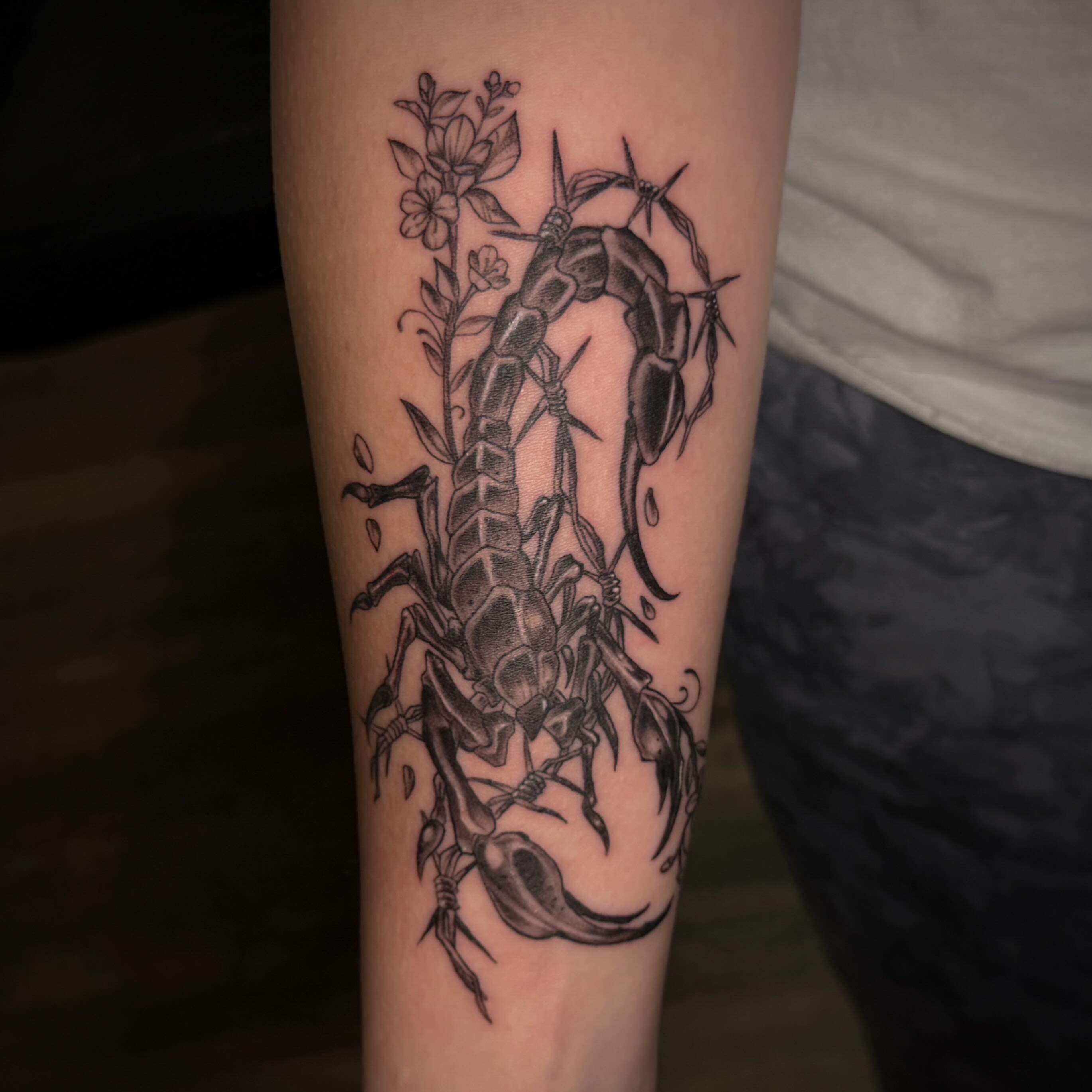 Scorpion black and grey tattoo on the forearm by π©Έβ βοΈ ππππ βοΈ βπ©Έ