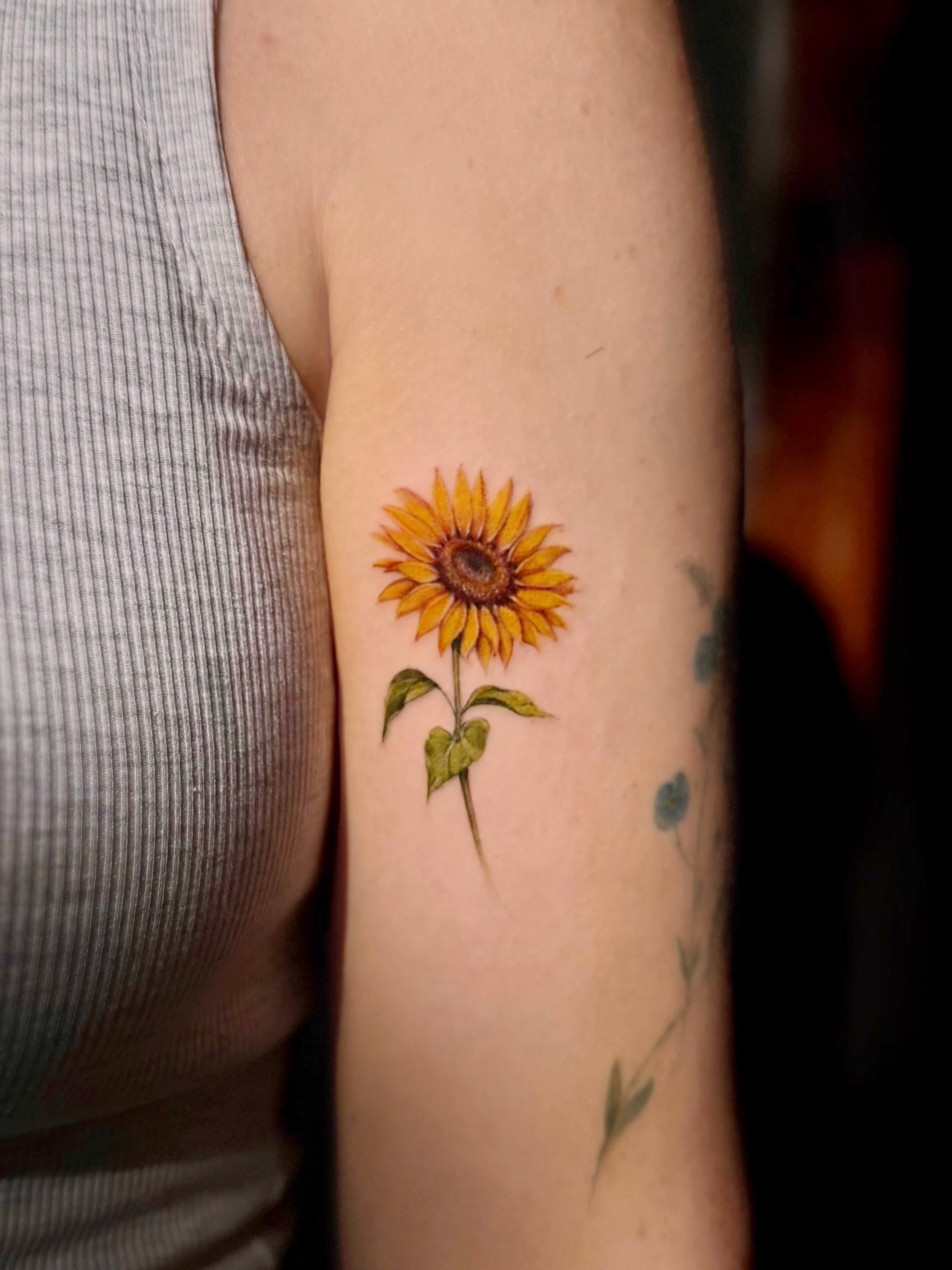 Sunflower realism tattoo on the forearm by Thin line and color TATTOO.