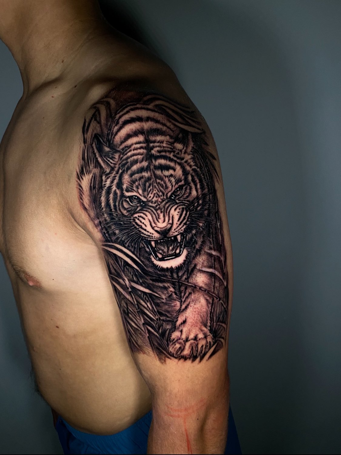 Tiger realism tattoo on the shoulder by Kelan Mckenna