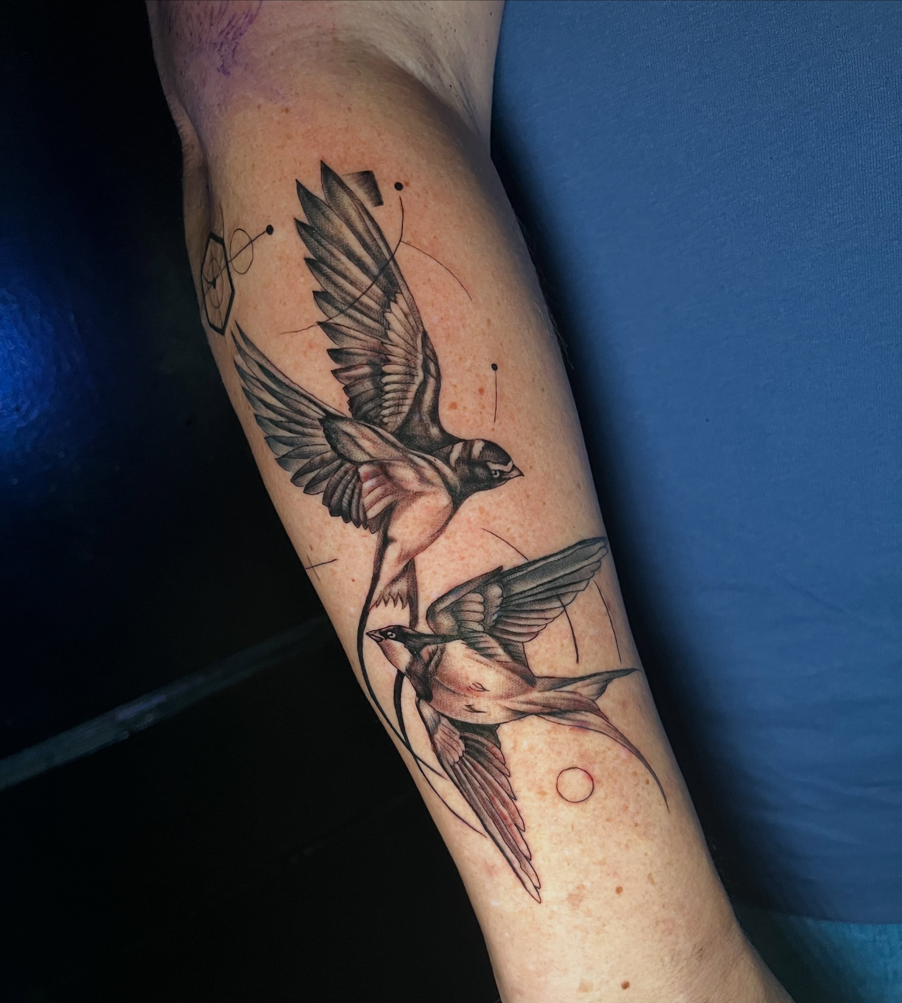 Swallows neo-traditional tattoo on the forearm by ATLANTA Queer Tattooer