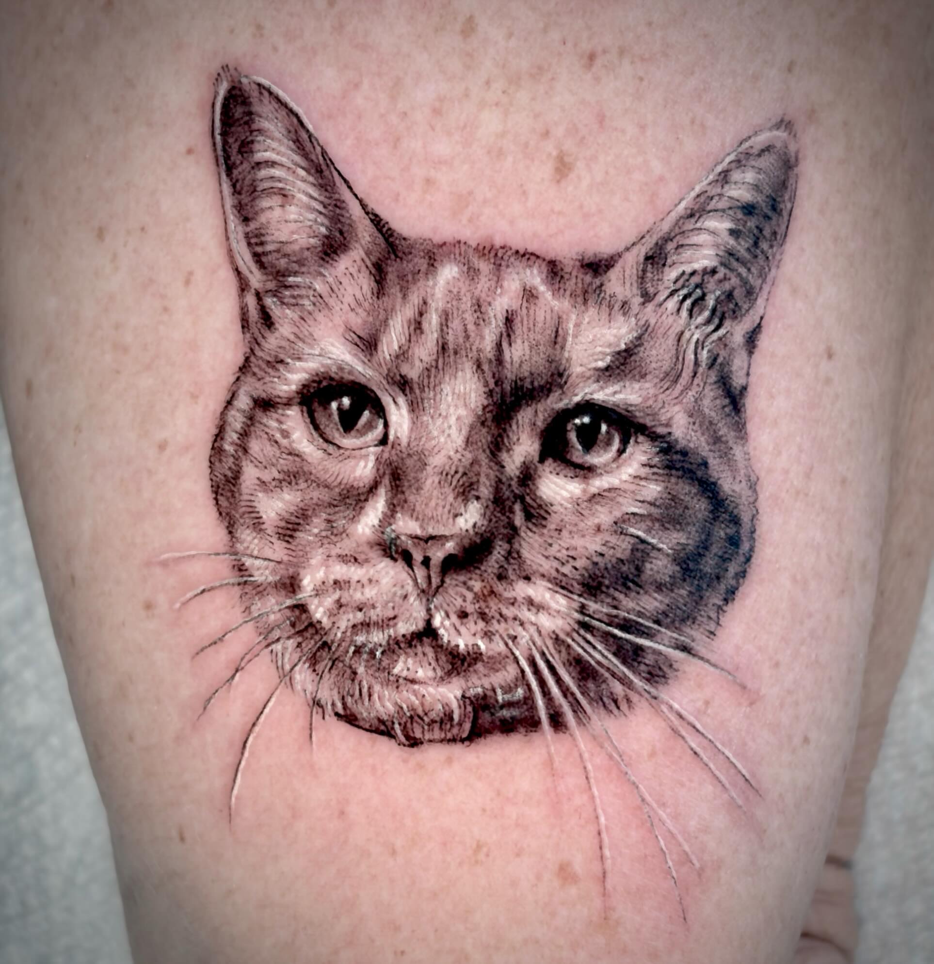 Cat realism tattoo on the thigh by Sam DiBiase