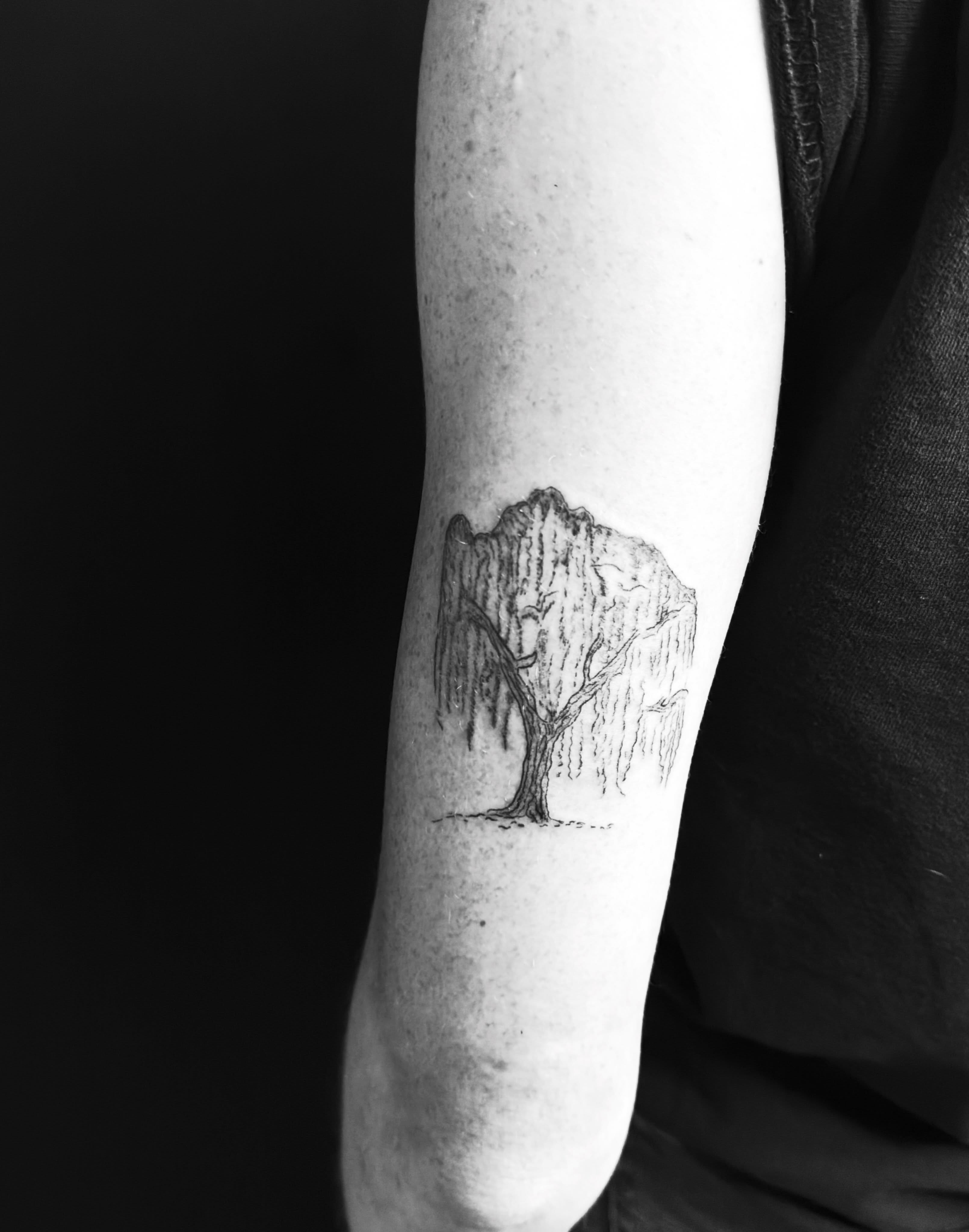 Weeping willow tree black and grey tattoo on the forearm by TolzinInk, Brookings, South Dakota
