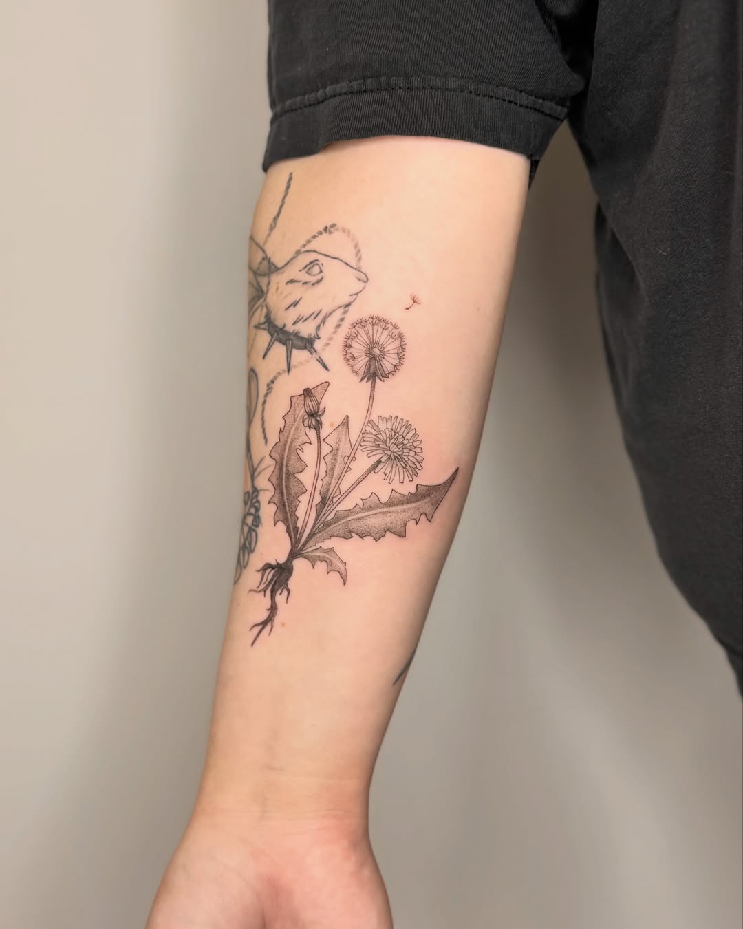 Dandelion and bee black and grey tattoo on the forearm by Suzy