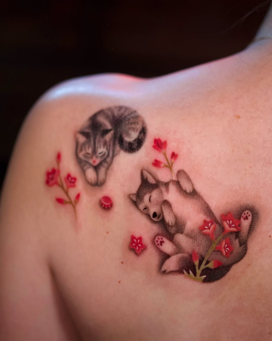 Cat and dog with flowers realism tattoo on the shoulder by Toki
