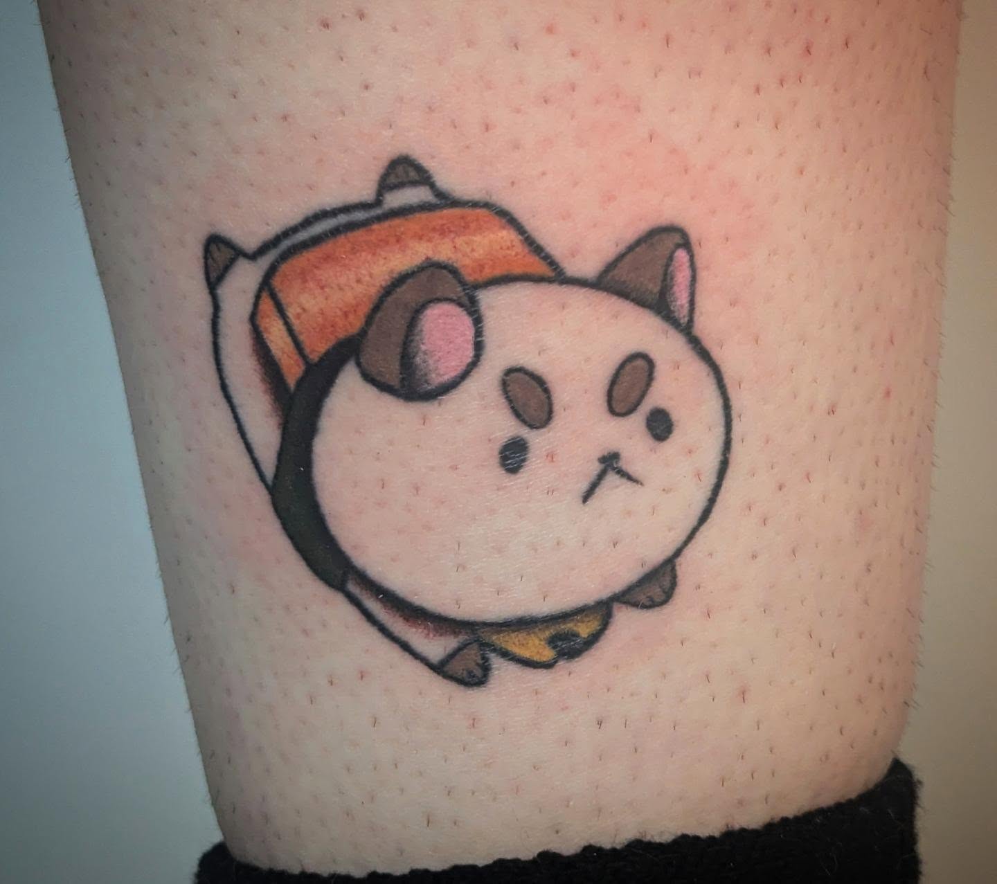 Chibi cat dotwork tattoo on the forearm by Payton