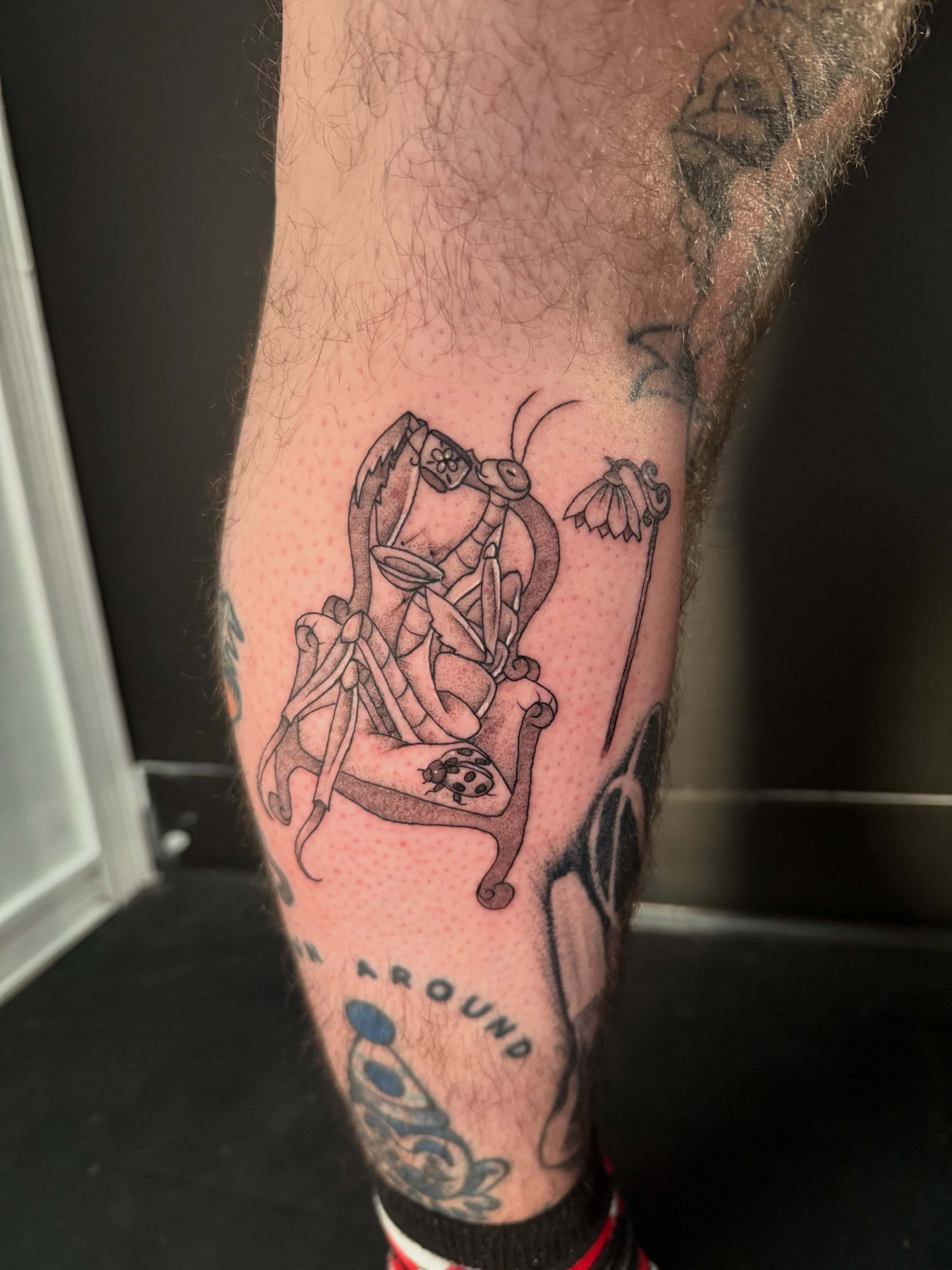 Insect dotwork tattoo on the forearm by Felicity