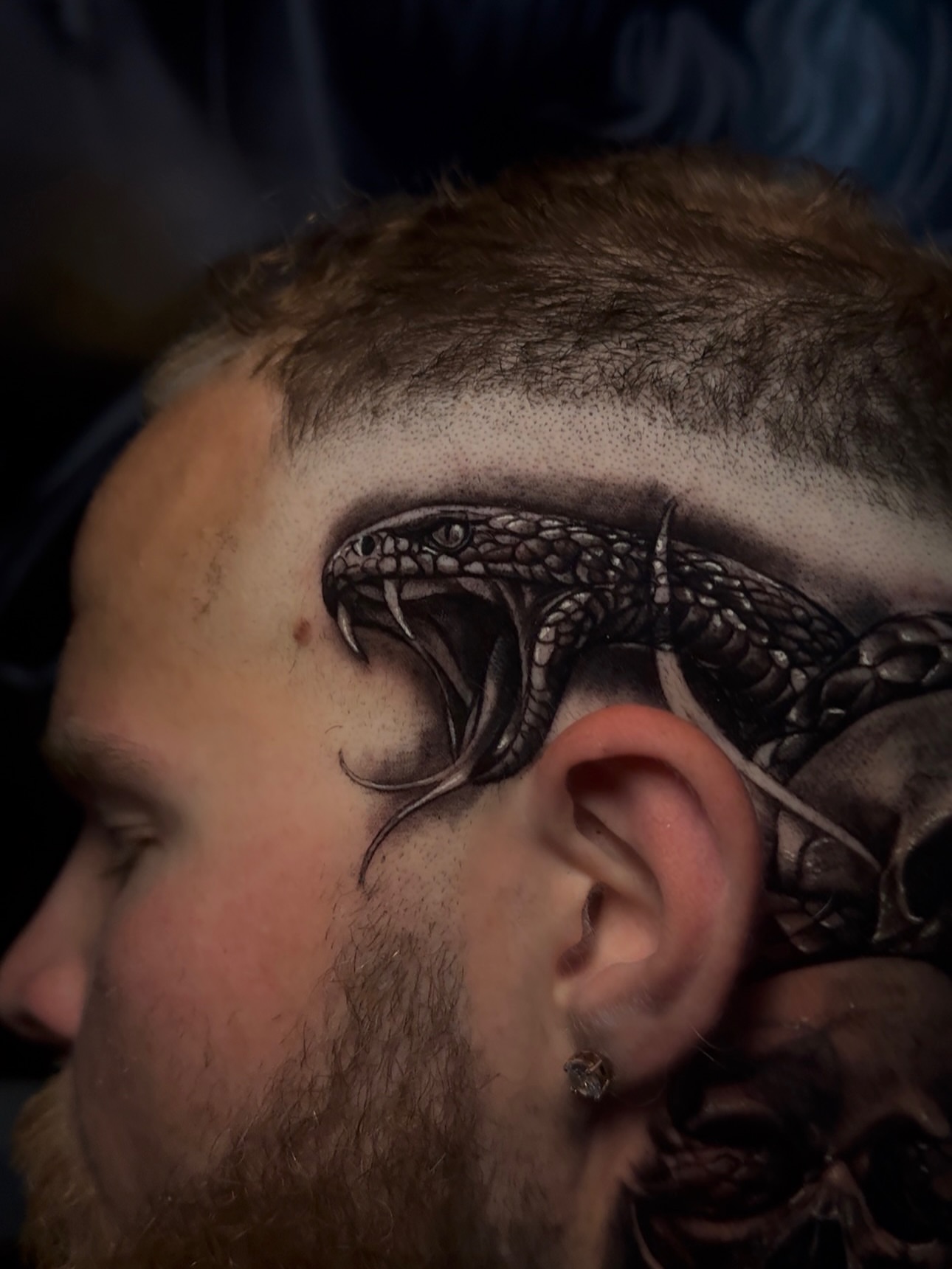 Snake realism tattoo on the head by Yudel