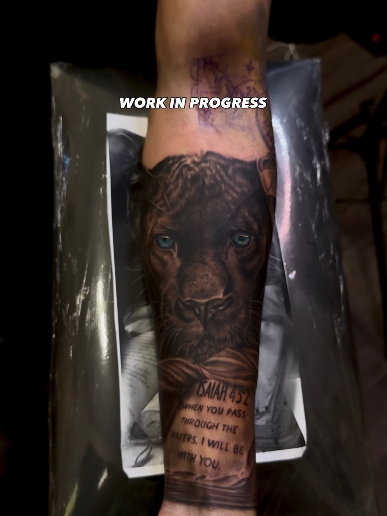 Lion realism tattoo on the forearm by Yudel