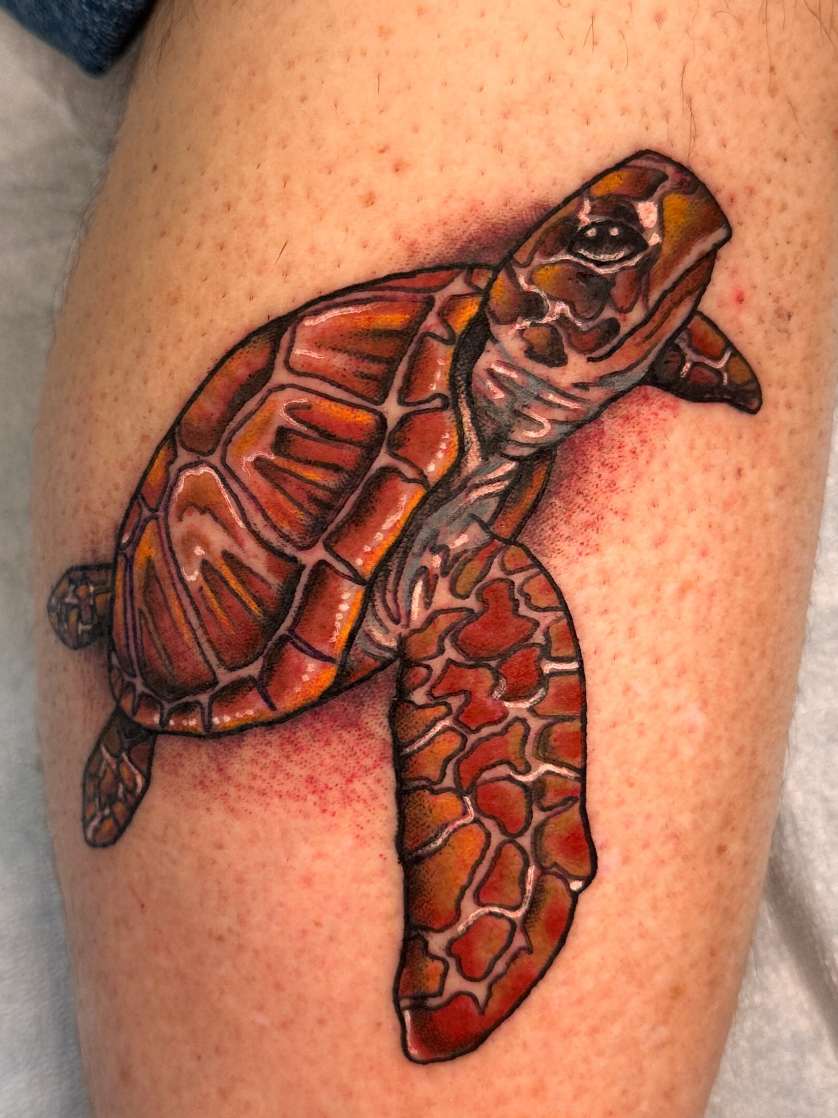 Sea turtle realism tattoo on the thigh by Stacey Colangelo