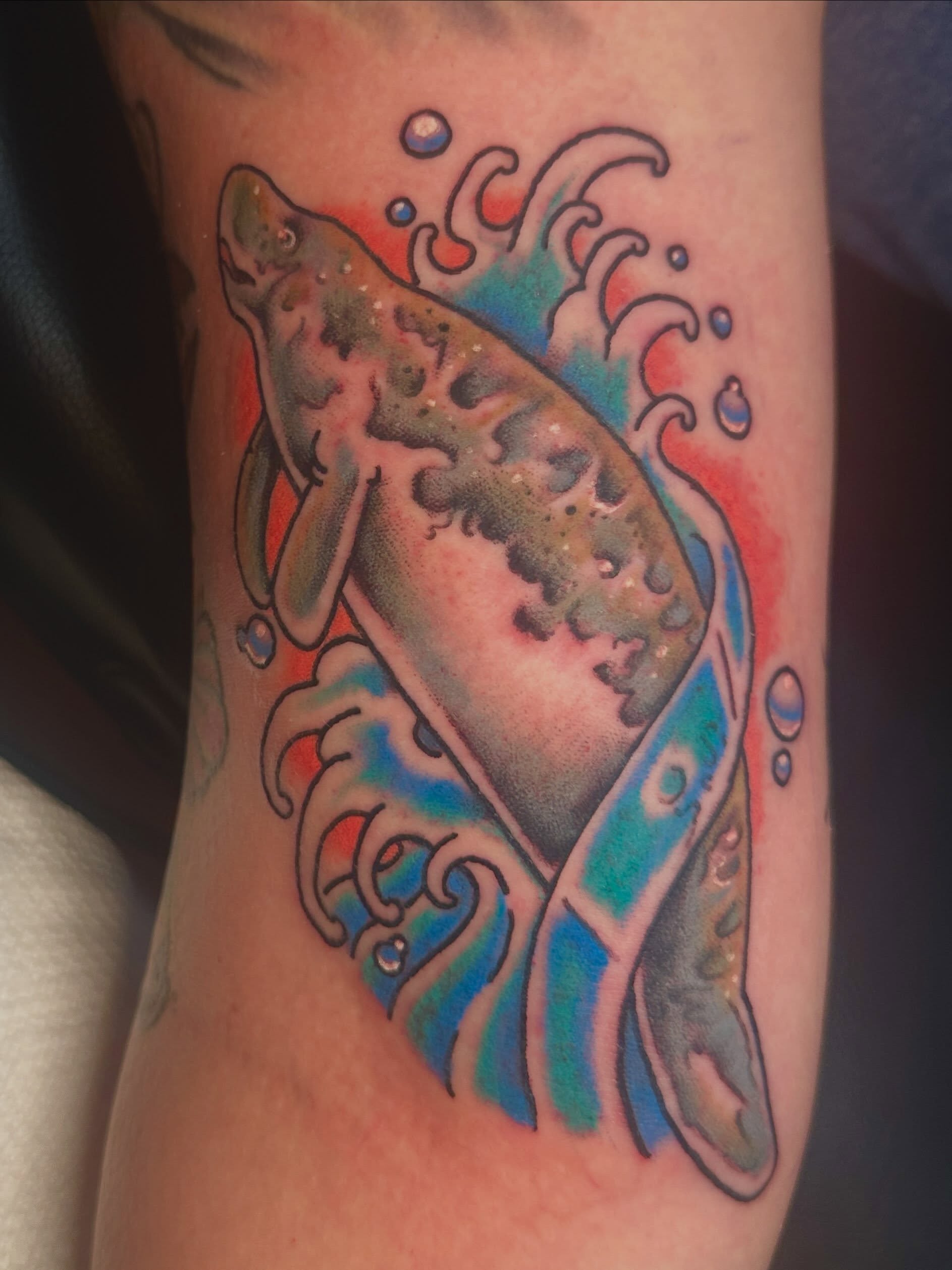 Fish American traditional tattoo on the forearm by Stacey Colangelo