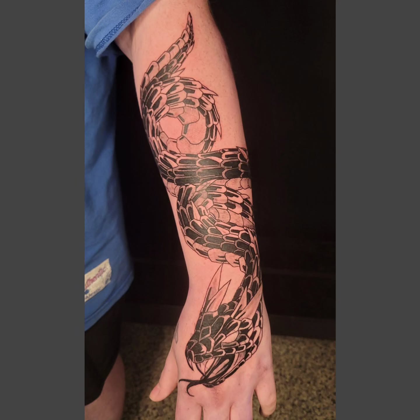 Snake black and grey tattoo on the forearm by Sarah Alba