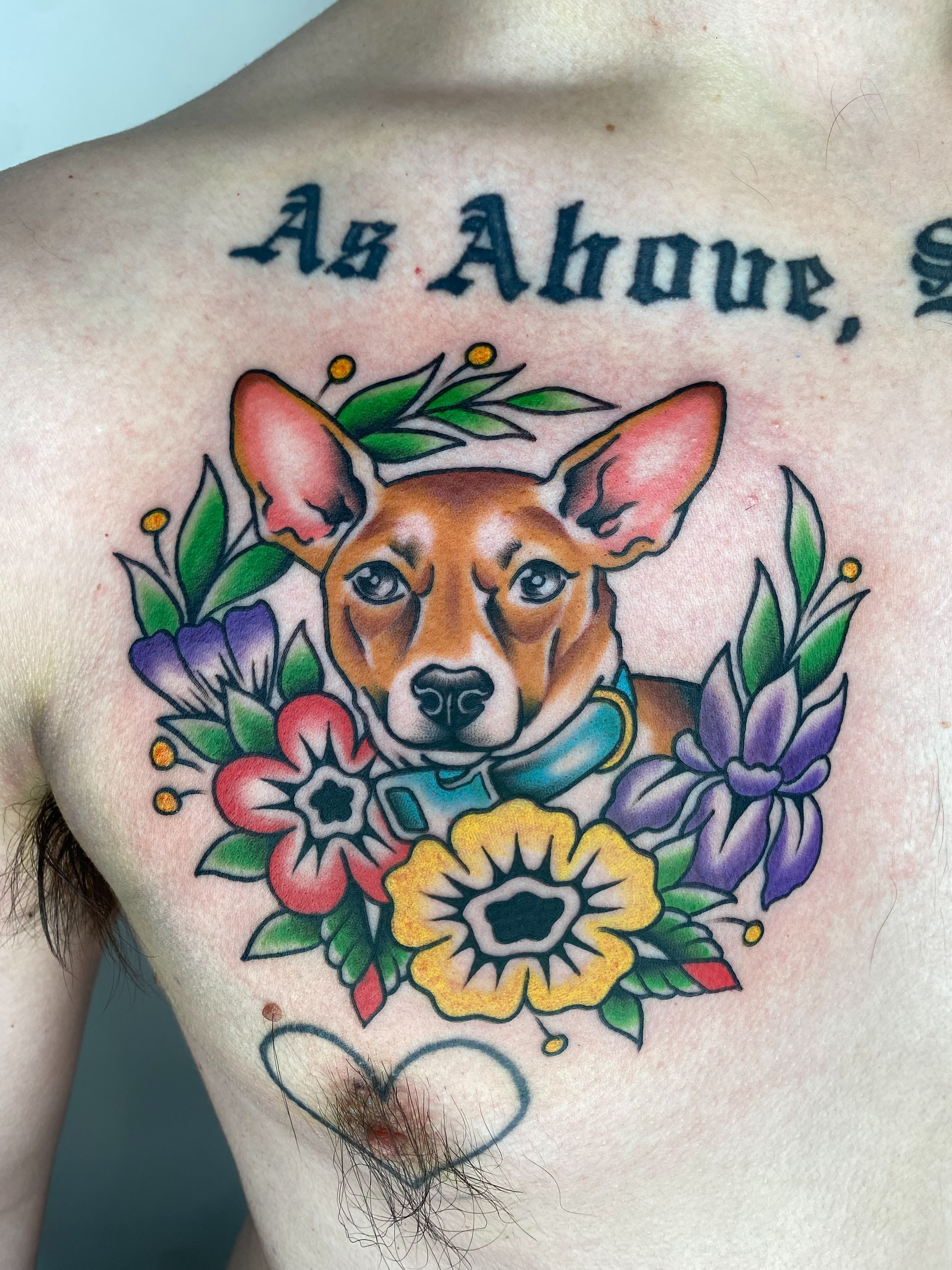 Dog with floral wreath American traditional tattoo on the chest by Vivian HavaTattoo, Richmond, Virginia