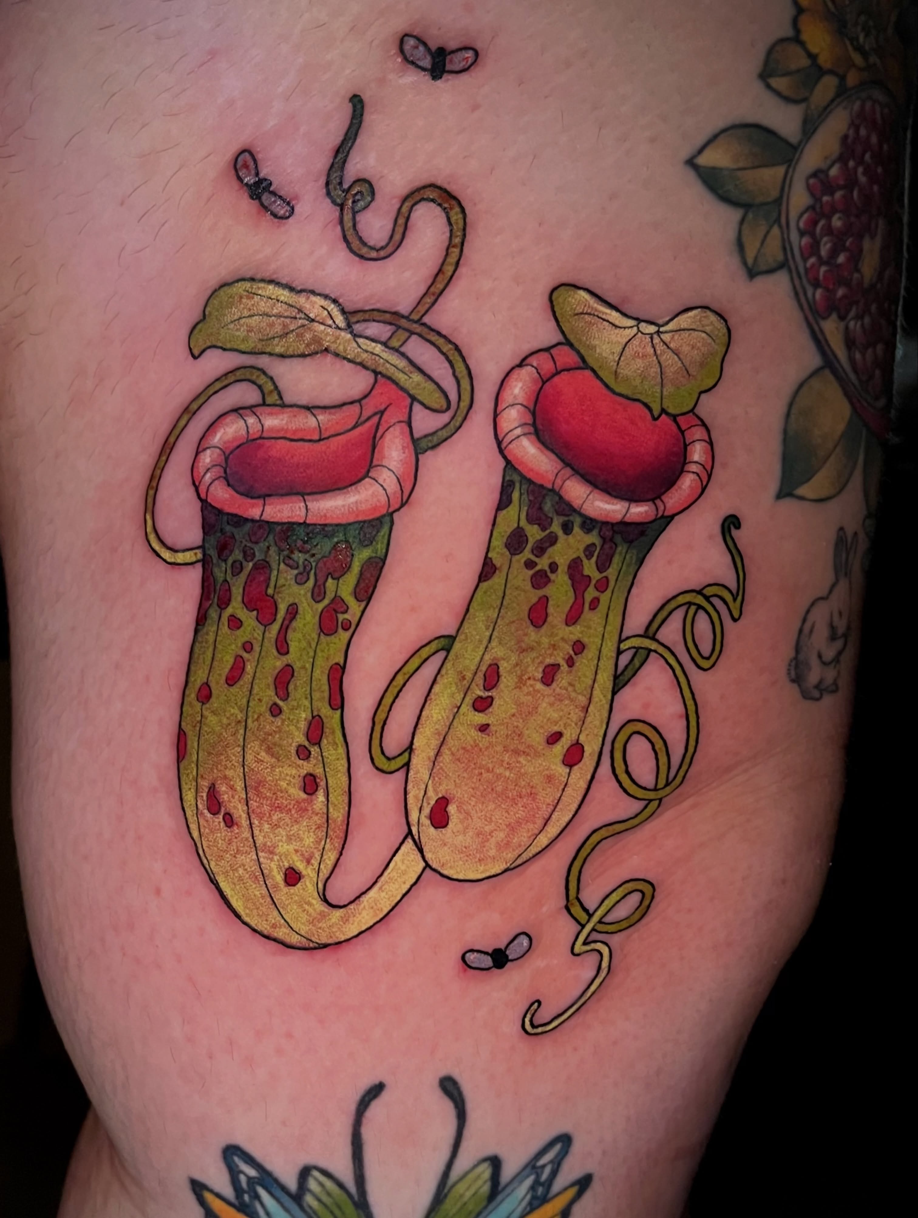 Pitcher plant realism tattoo on the thigh by Summer Machelle, Orange, California
