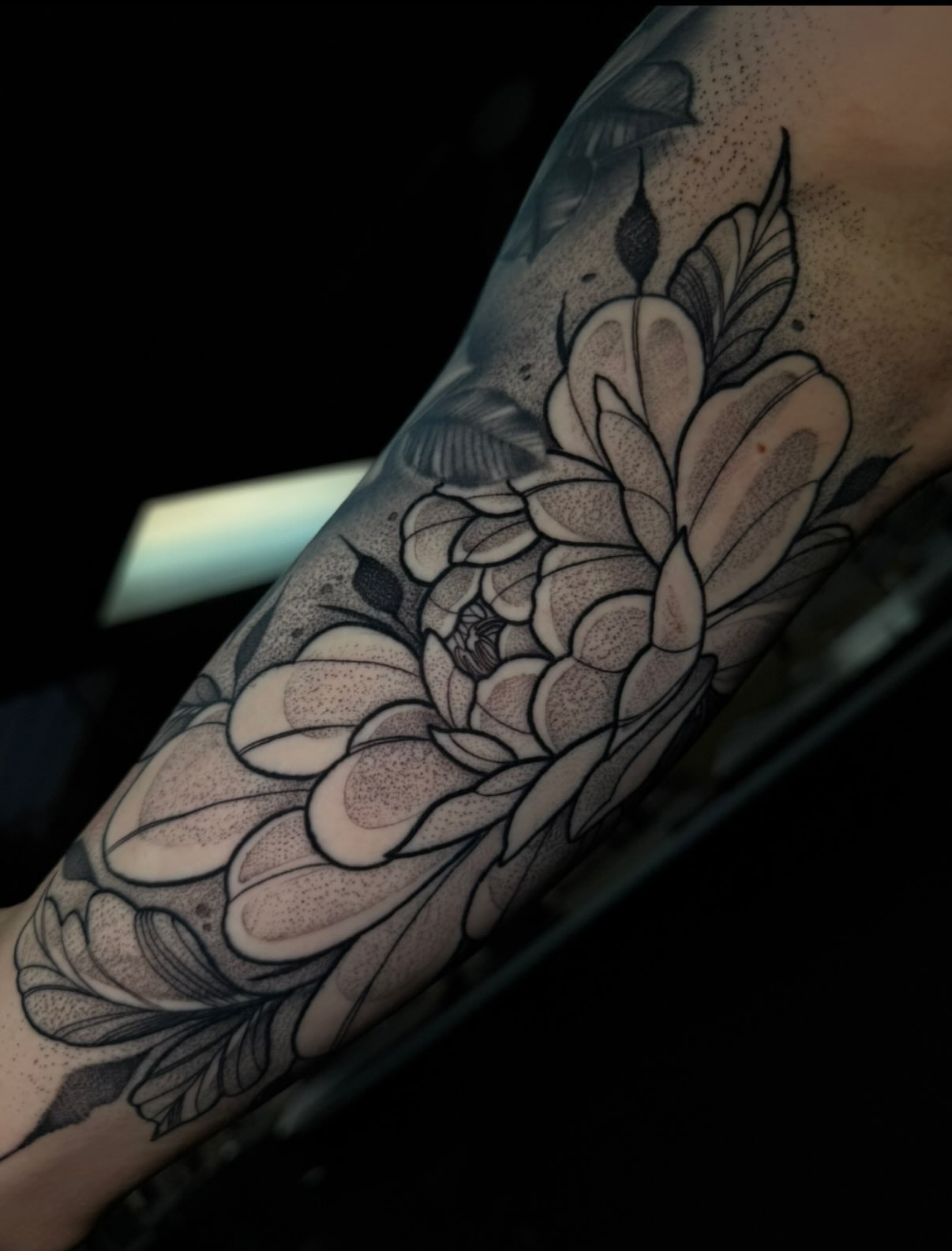 Chrysanthemum dotwork tattoo on the forearm by H A N N A H, Colorado Springs, Colorado