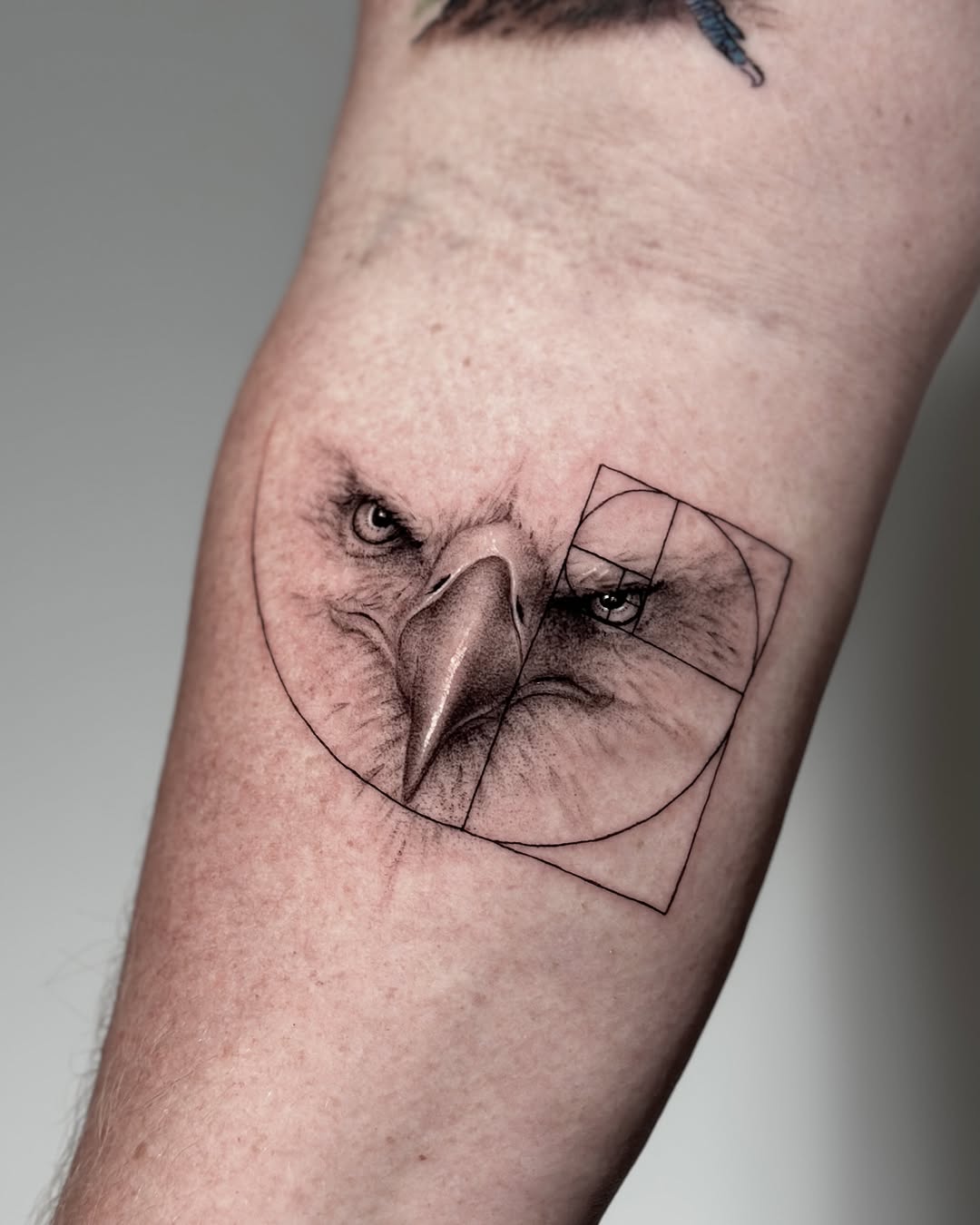 Tattoo by @digo_tattooer — realism, geometric