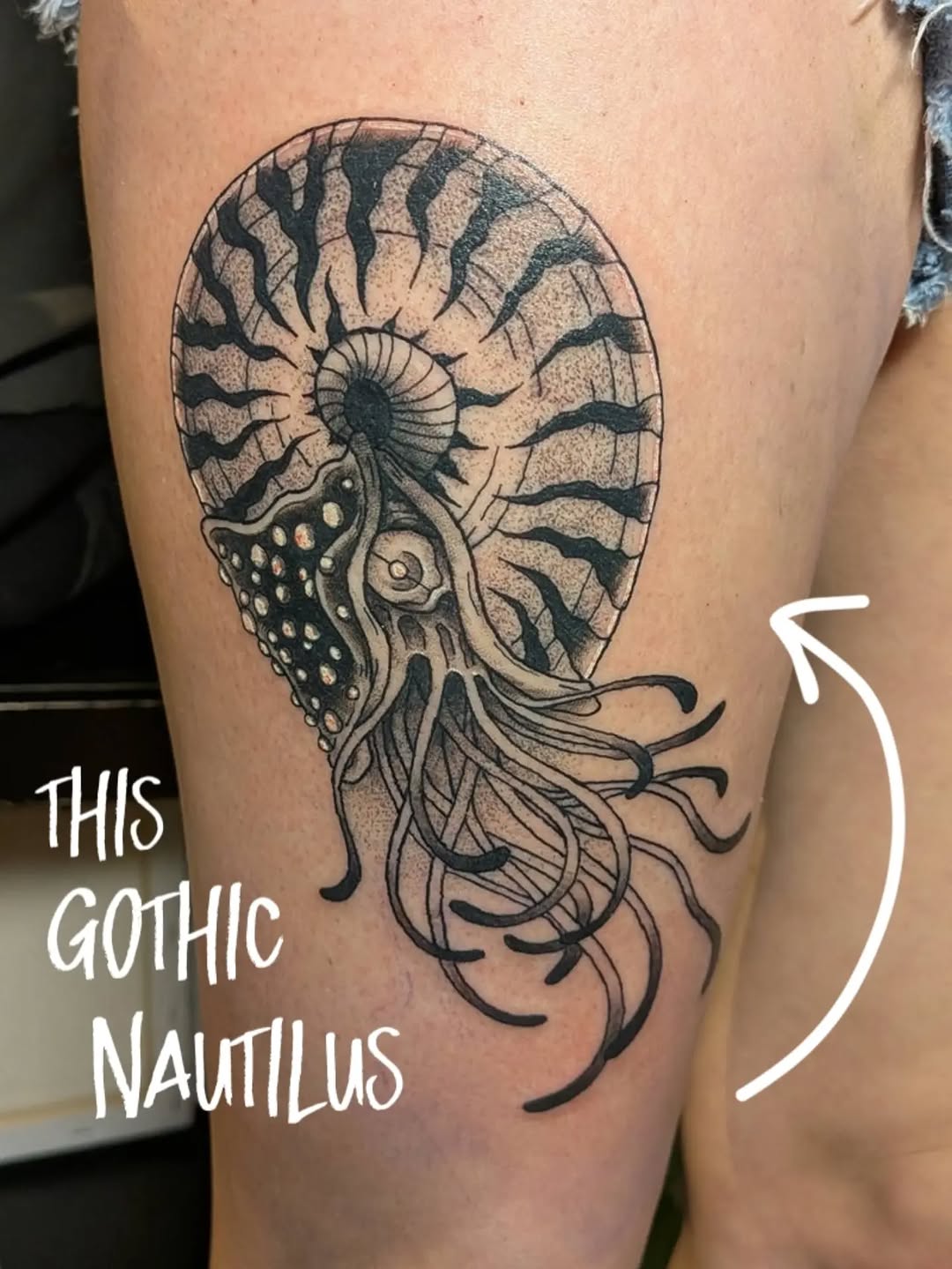 Nautilus creature dark art tattoo on the thigh by Damon 🥀