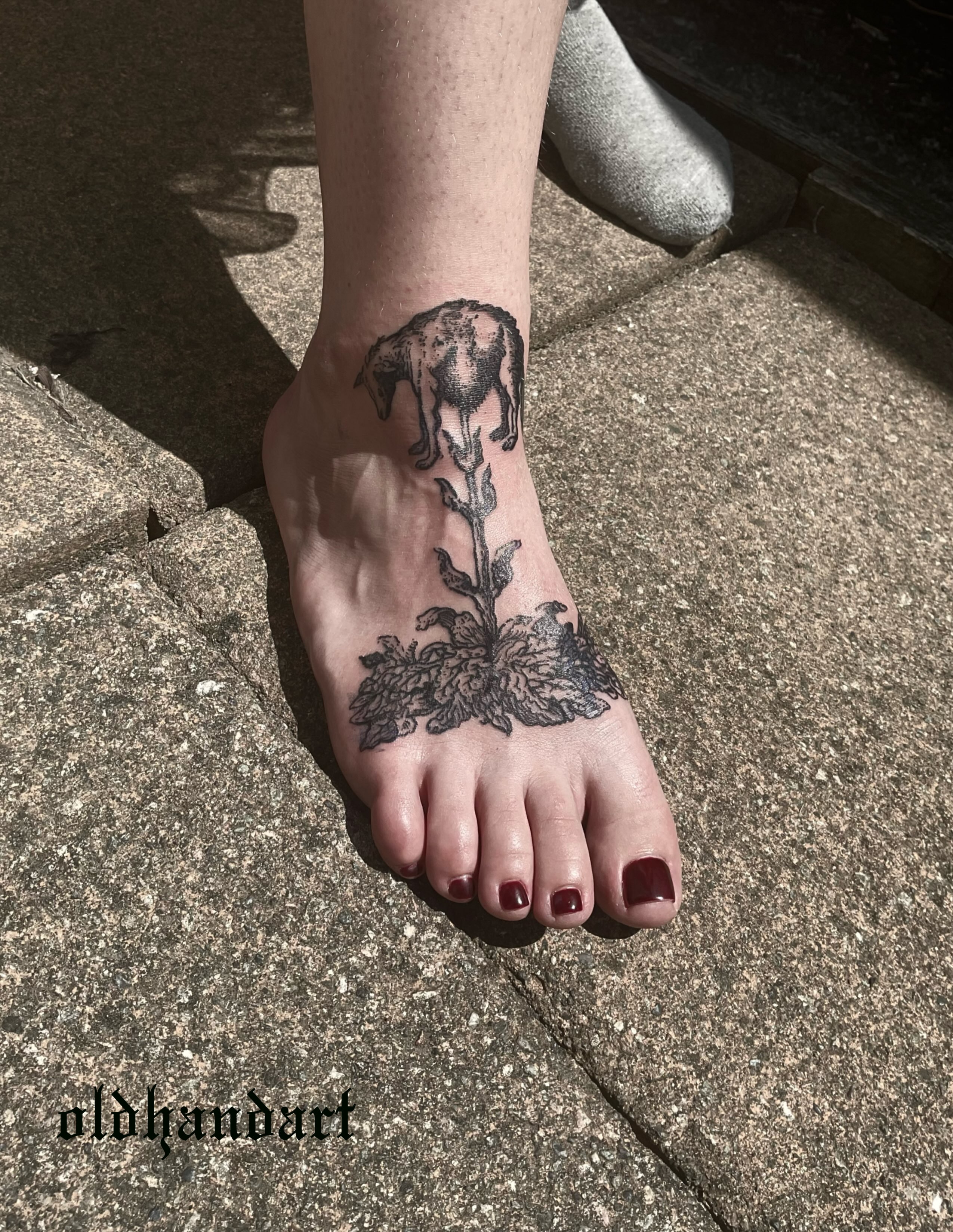 Goat and flower black and grey tattoo on the foot by ๐ญ๐๐๐๐