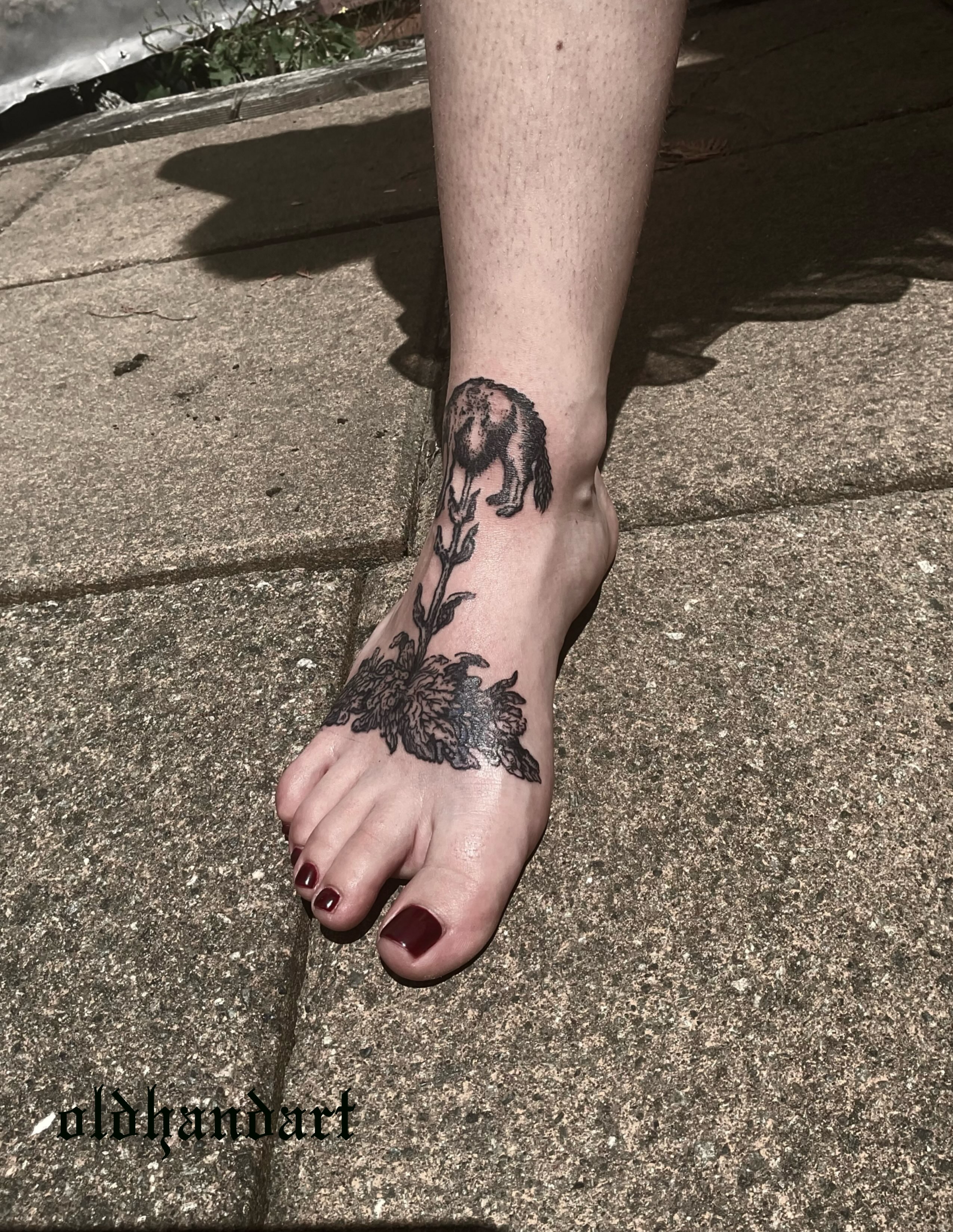 Lion and chrysanthemum black and grey tattoo on the foot by ๐ญ๐๐๐๐