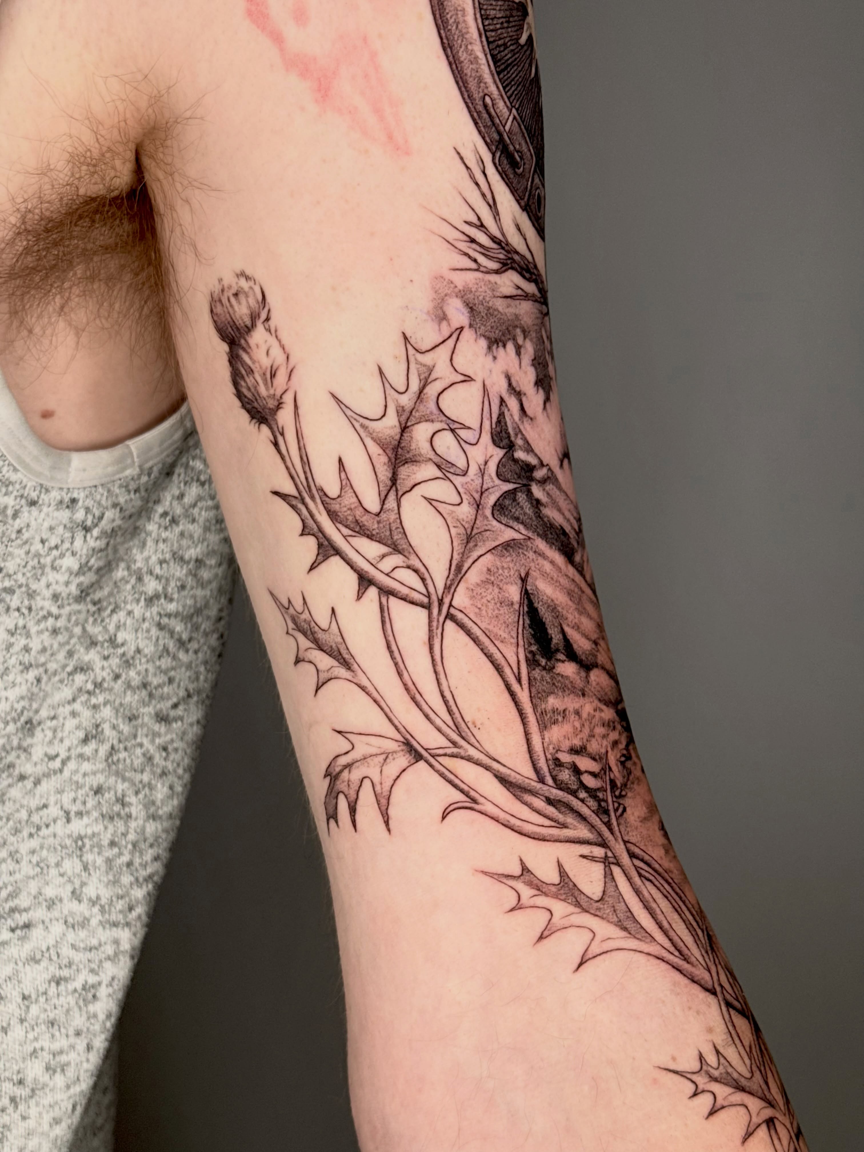 Thistle black and grey tattoo on the forearm by Andrew Flatts