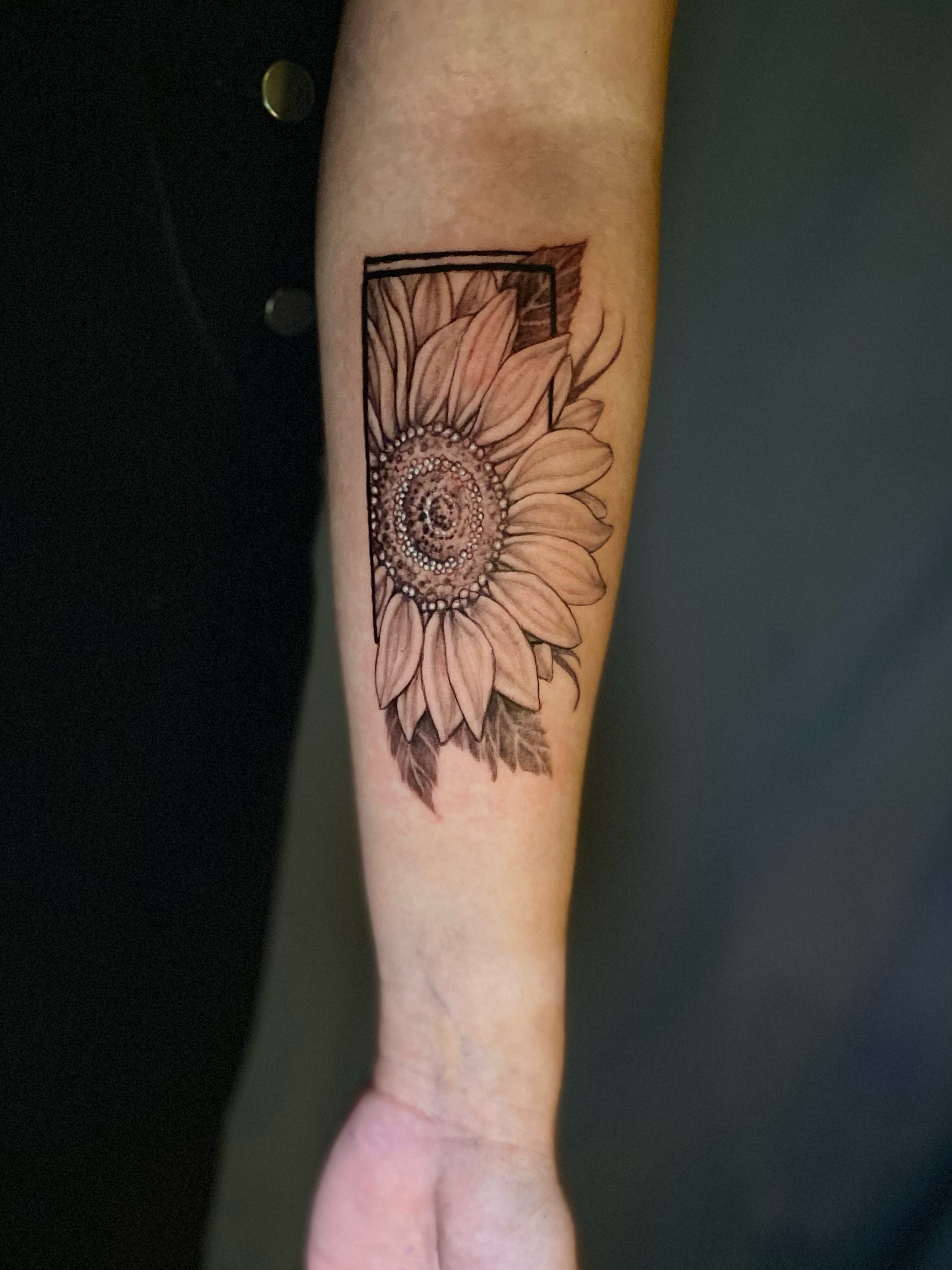 Sunflower dotwork tattoo on the forearm by Dana Jones