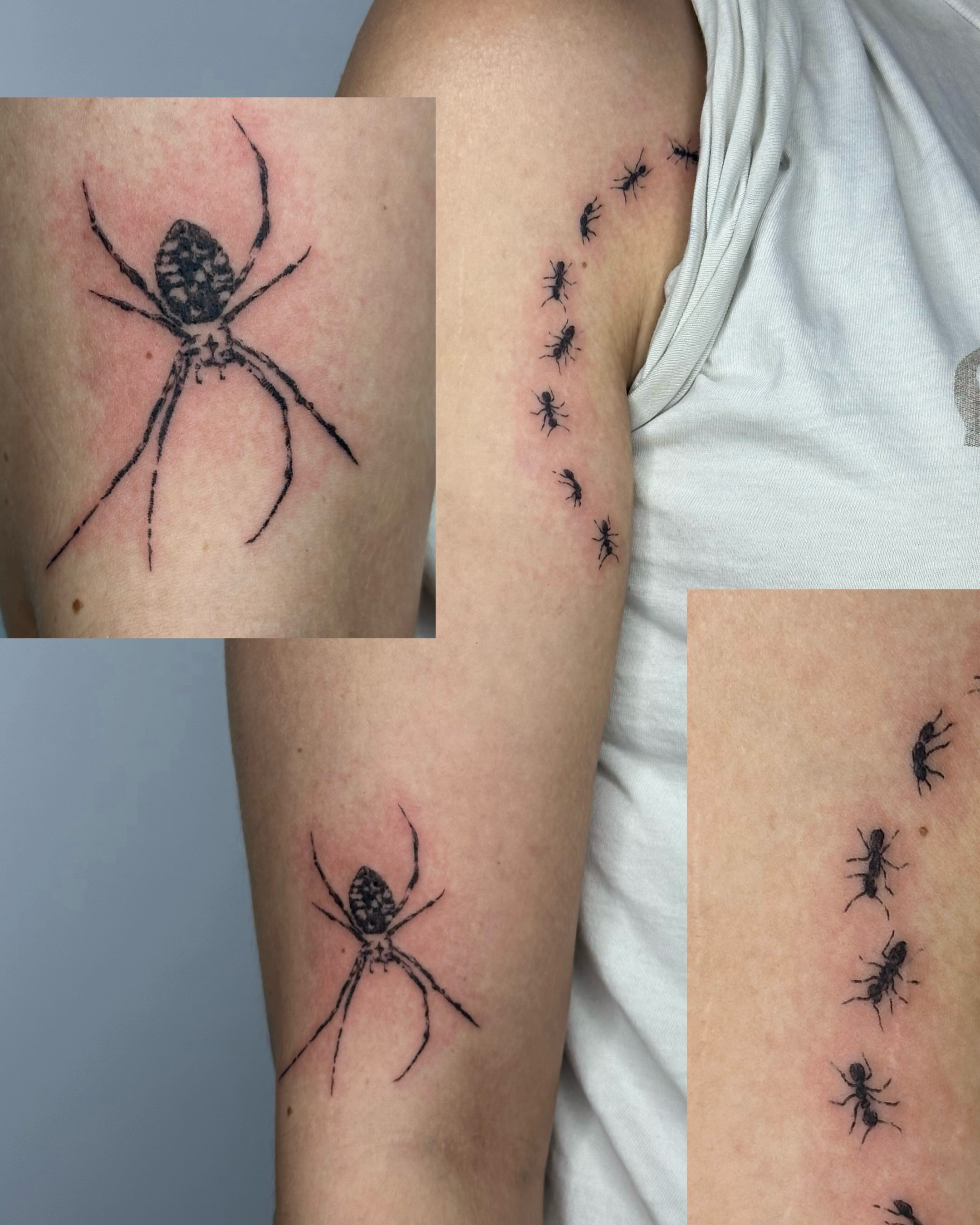 Spider dotwork tattoo on the forearm by edie ☆ kansas tattoo artist, Lawrence, Kansas