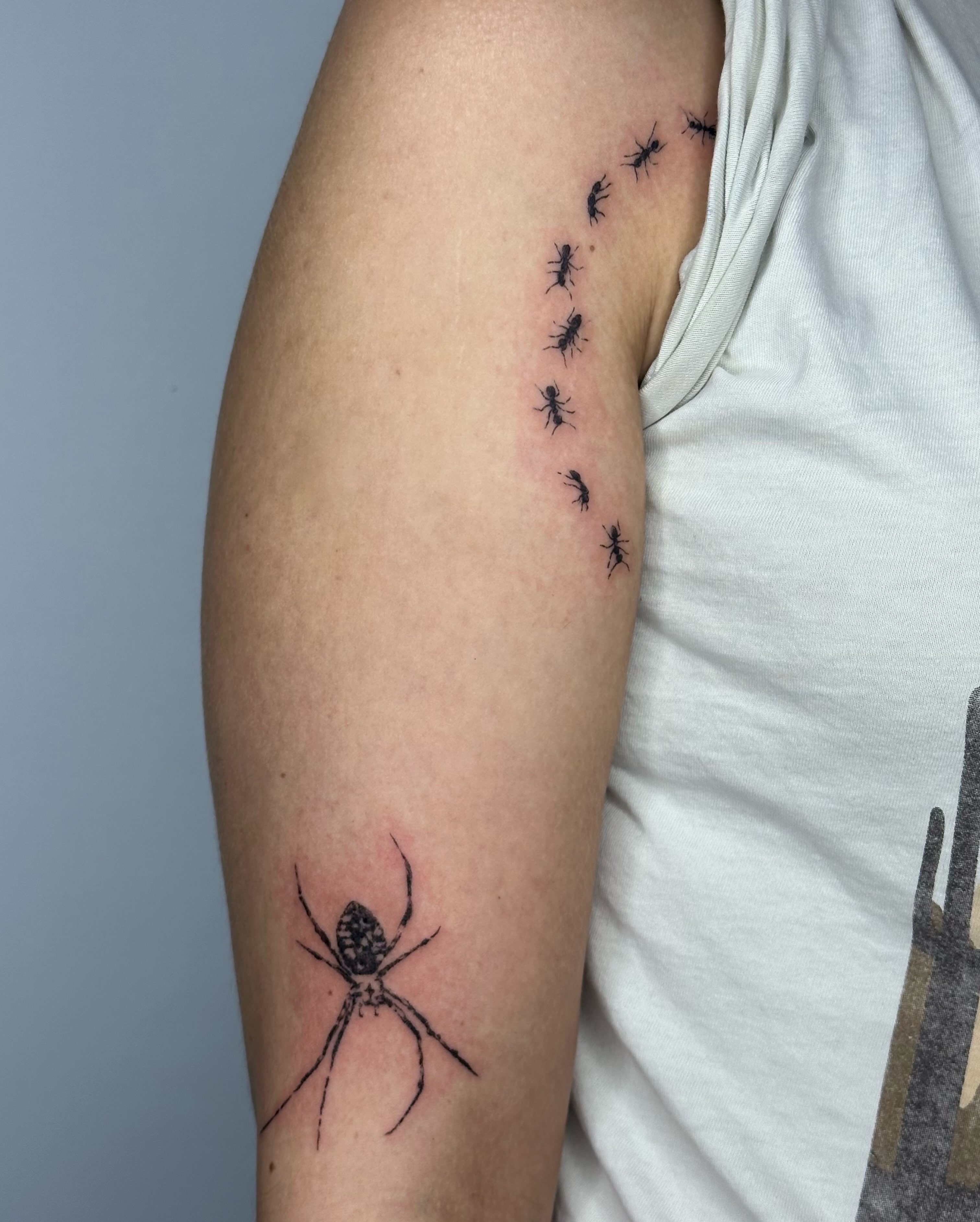 Spider and ants dotwork tattoo on the forearm by edie ☆ kansas tattoo artist, Lawrence, Kansas
