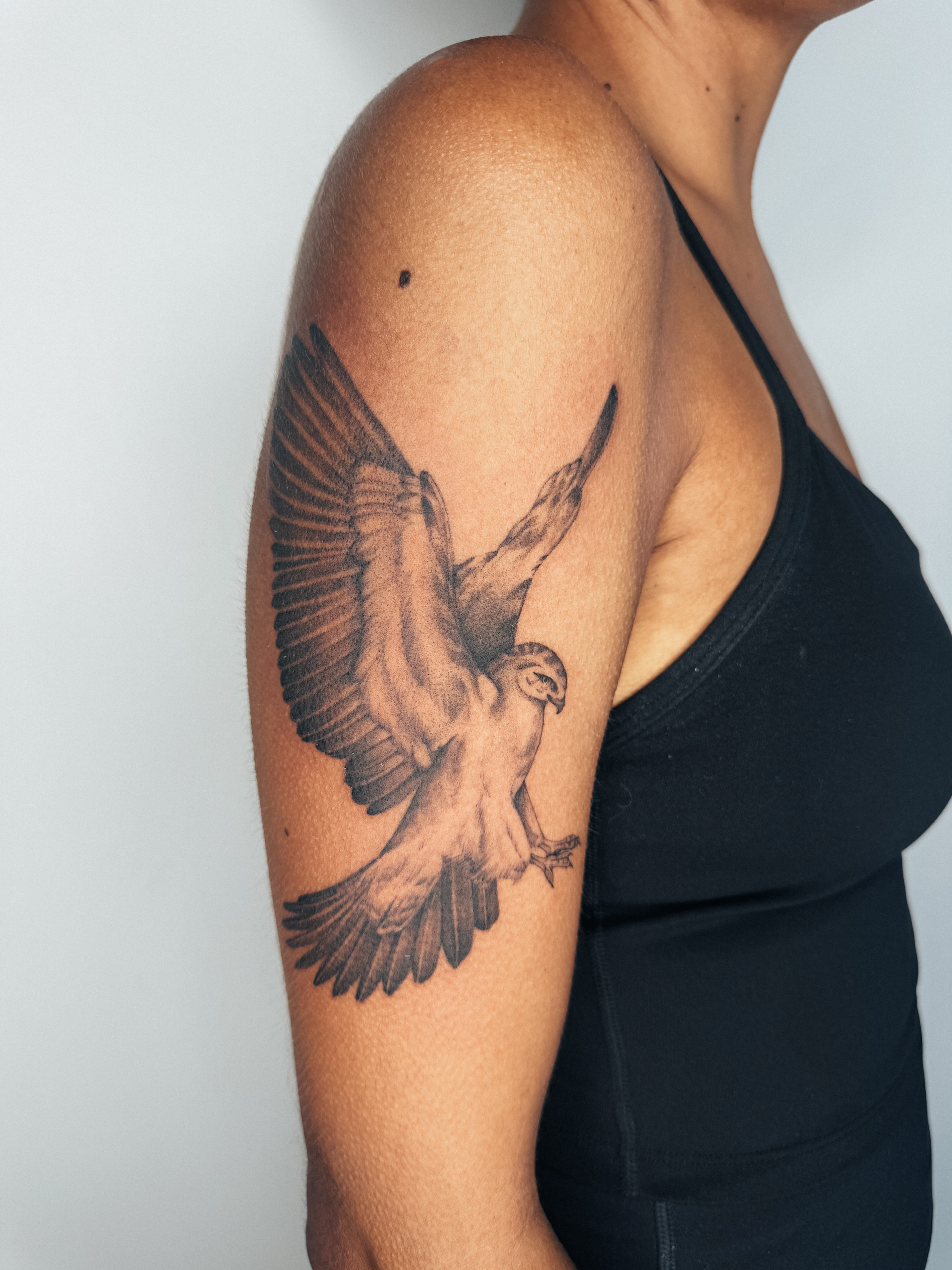 Falcon realism tattoo on the upper arm by Emma- Los Angeles Tattoo Artist