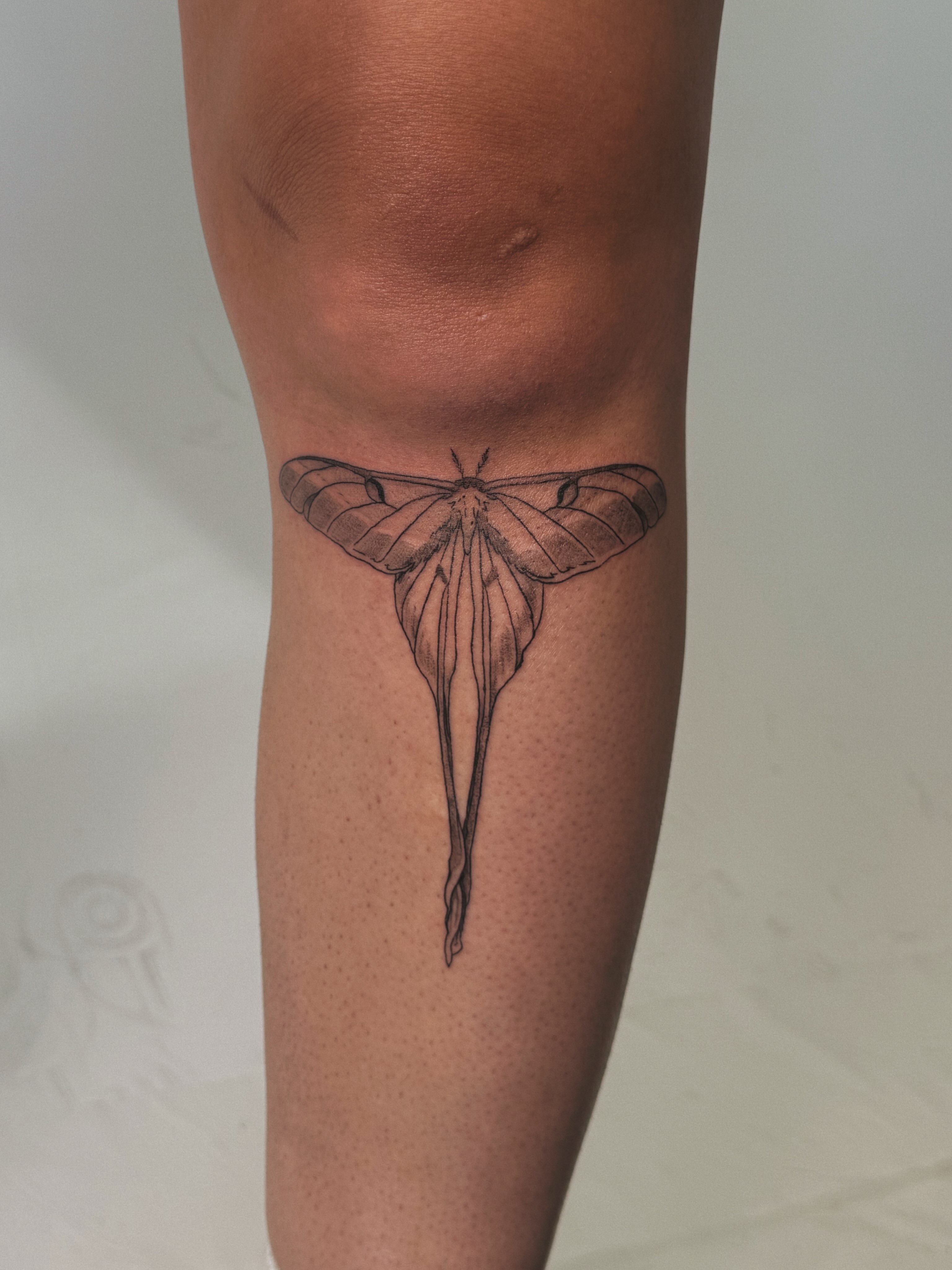 Moth black and grey tattoo on the leg by Paulina Vazquez